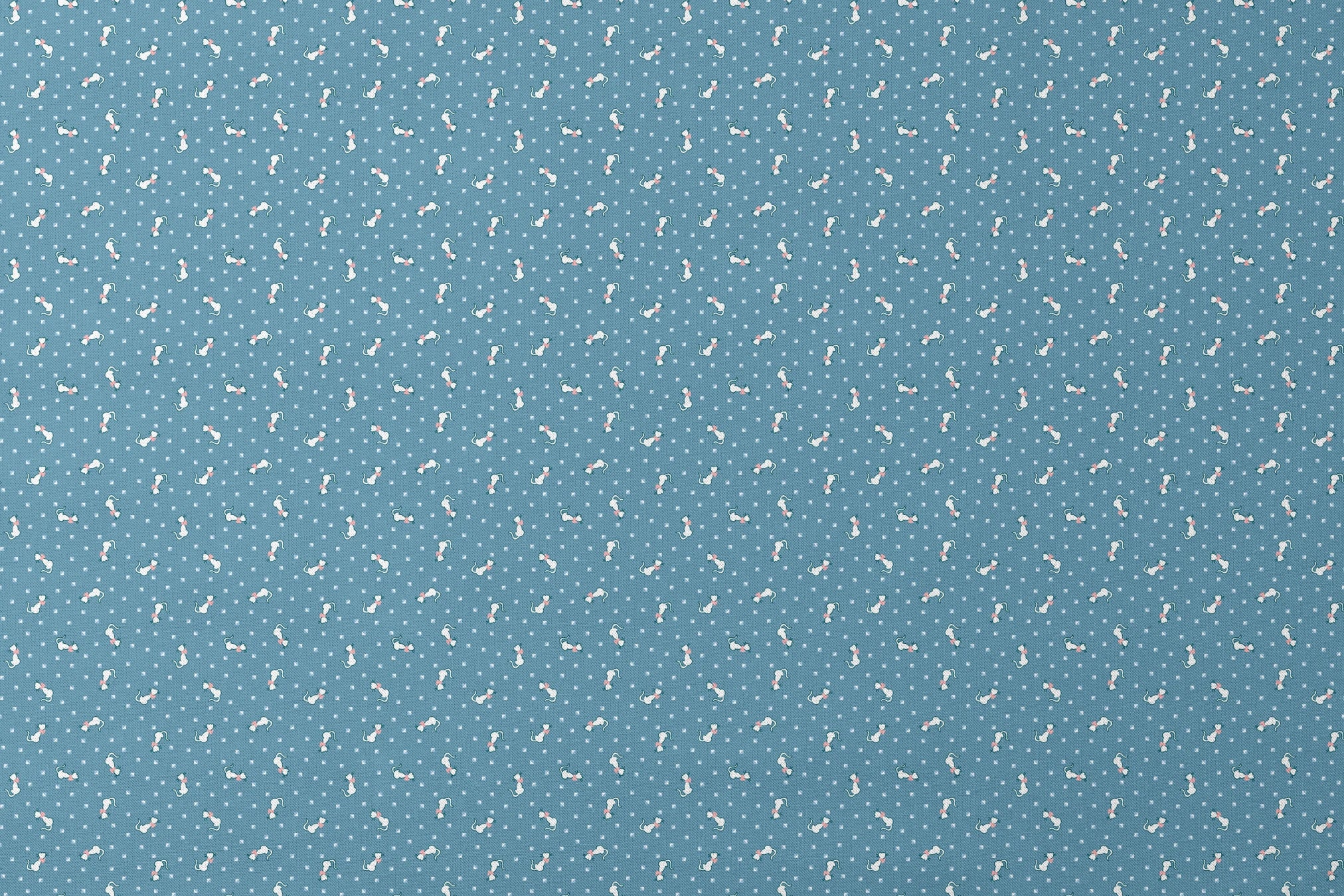 designs flat mockup