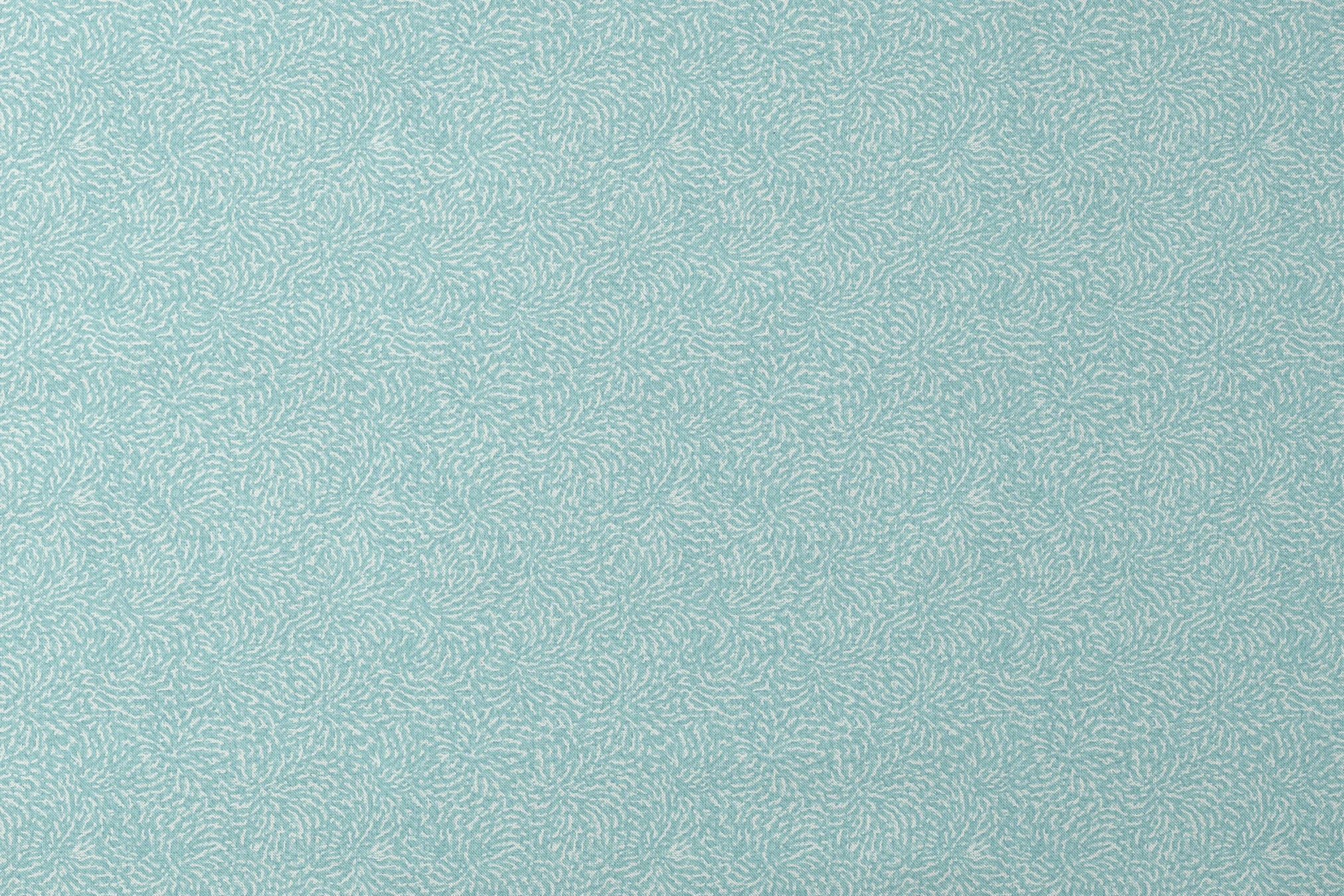 designs flat mockup