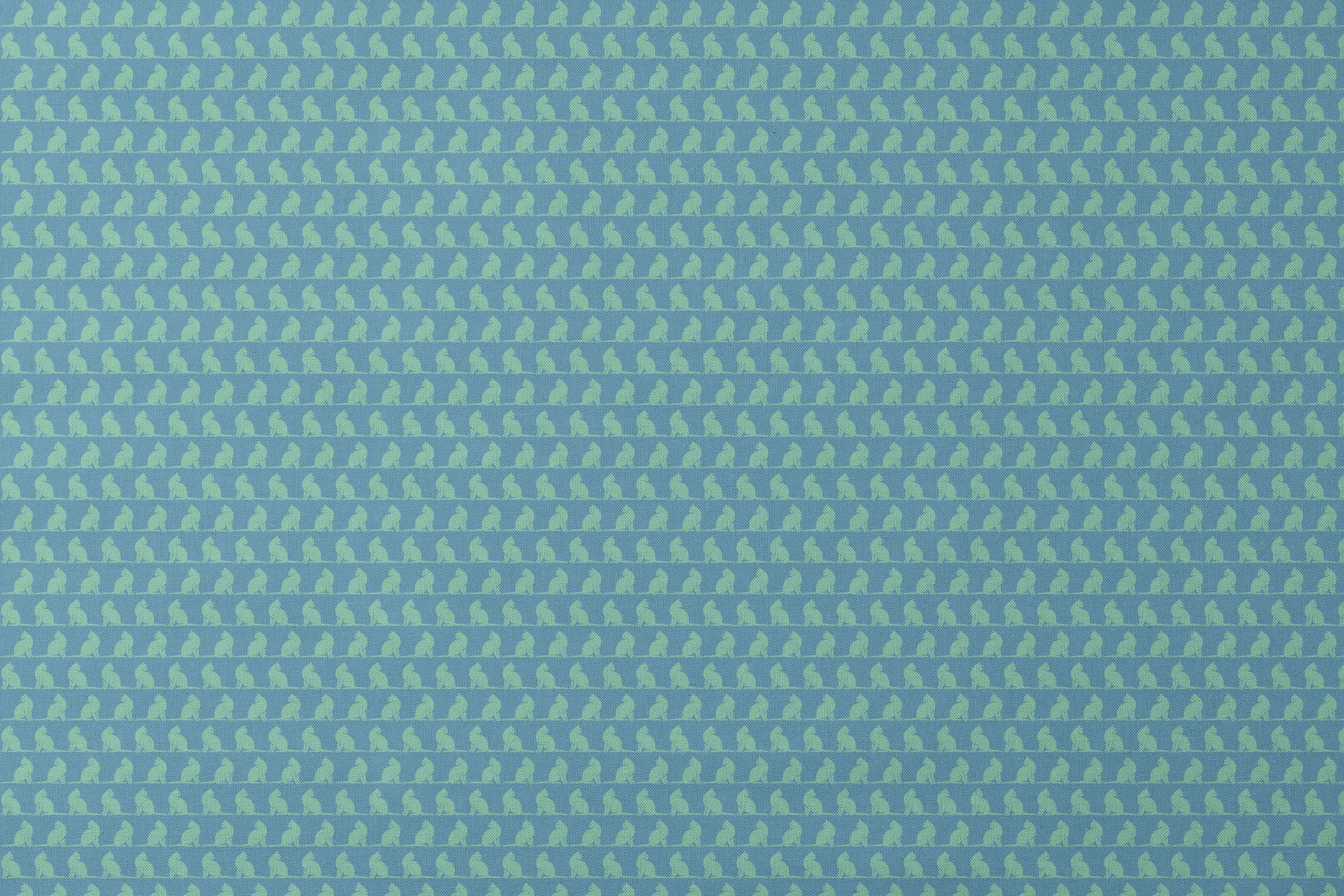 designs flat mockup