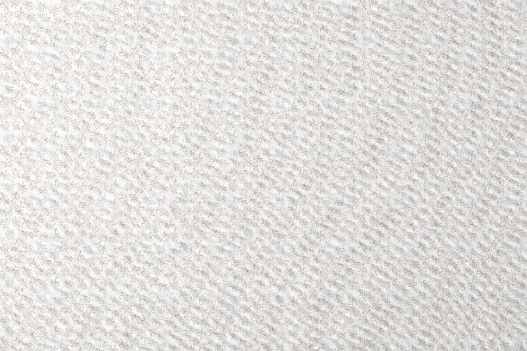 designs flat mockup