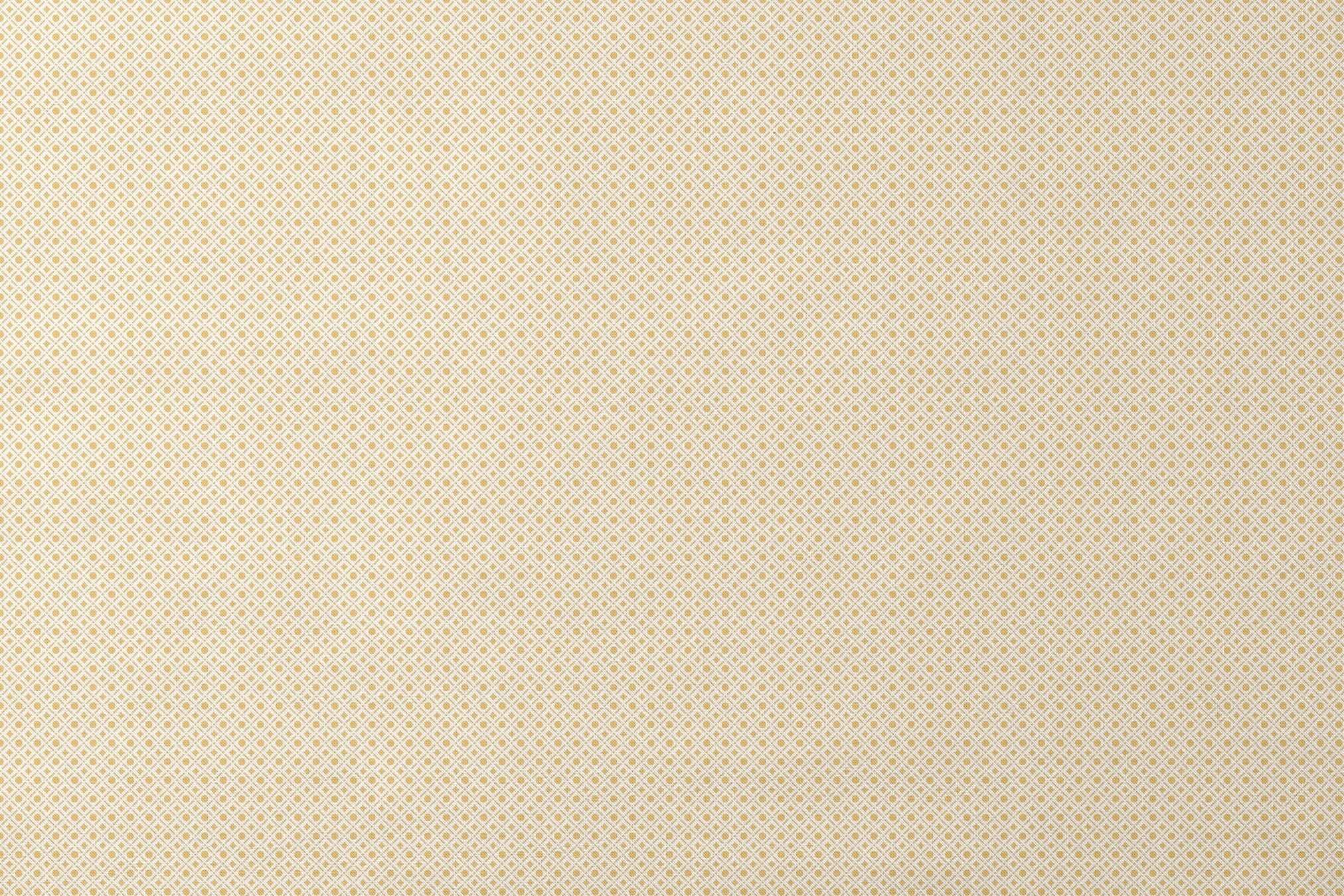 designs flat mockup