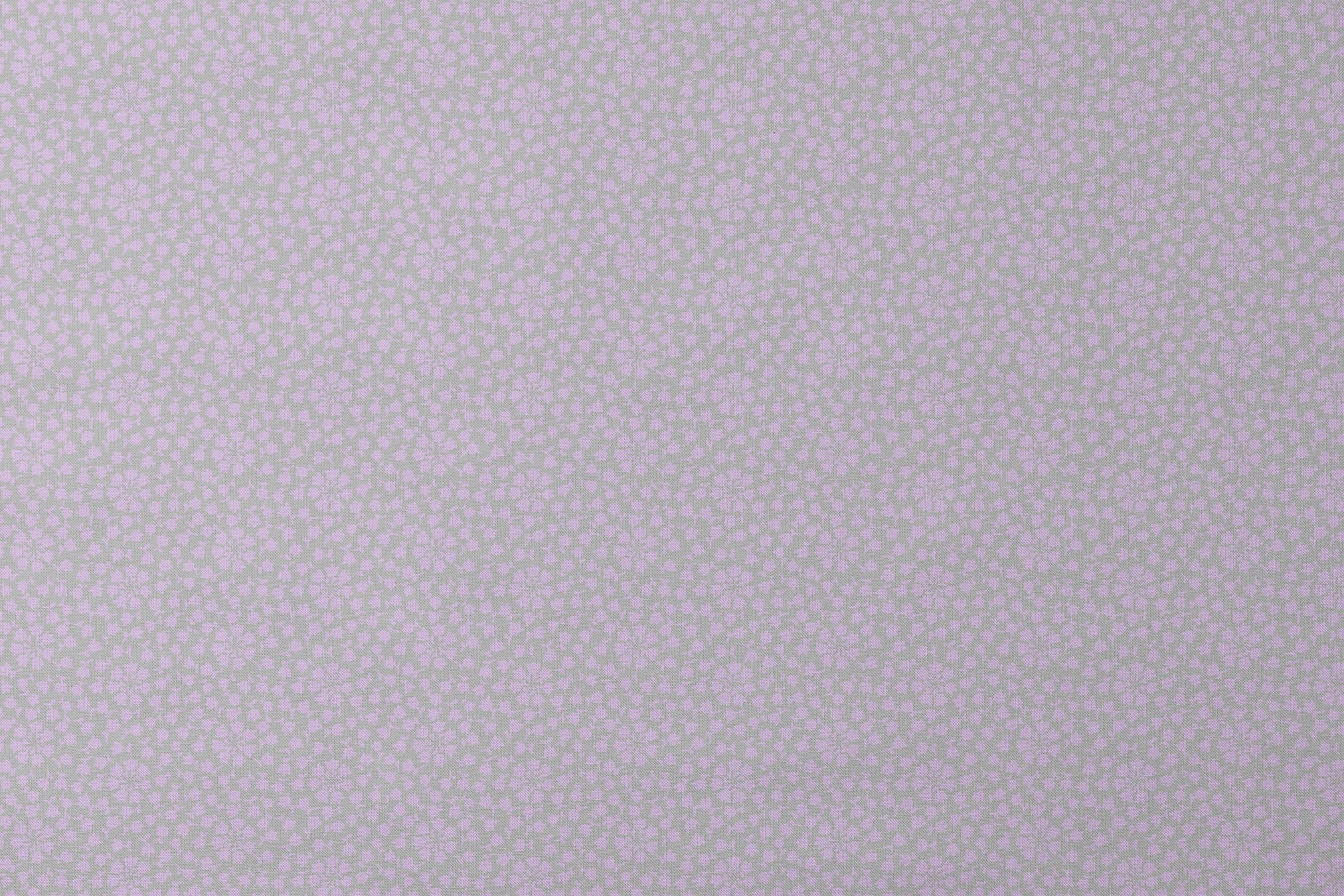 designs flat mockup