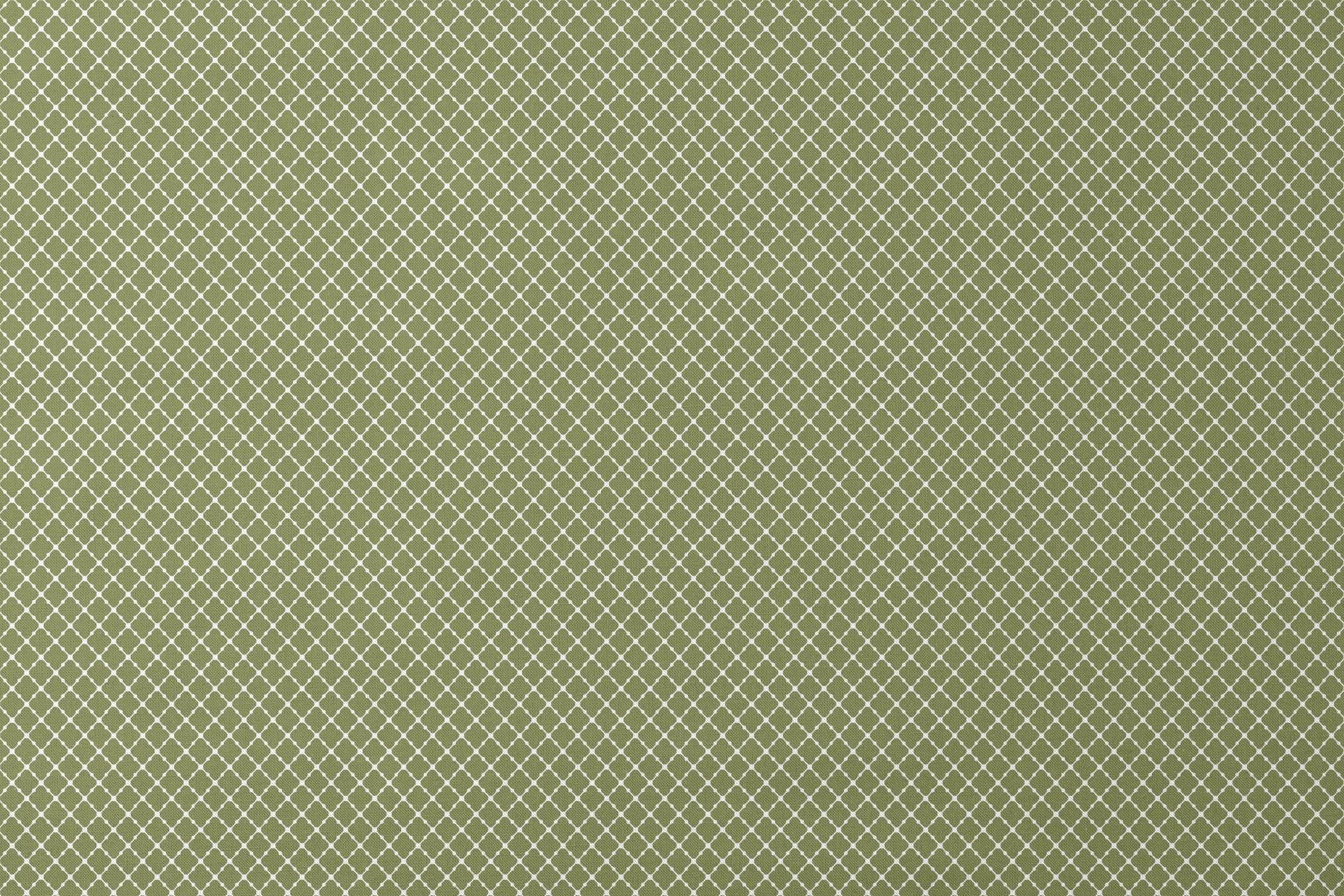 Sage green quatrefoil pattern with white lattice lines forming a Moroccan-style geometric design designs flat mockup