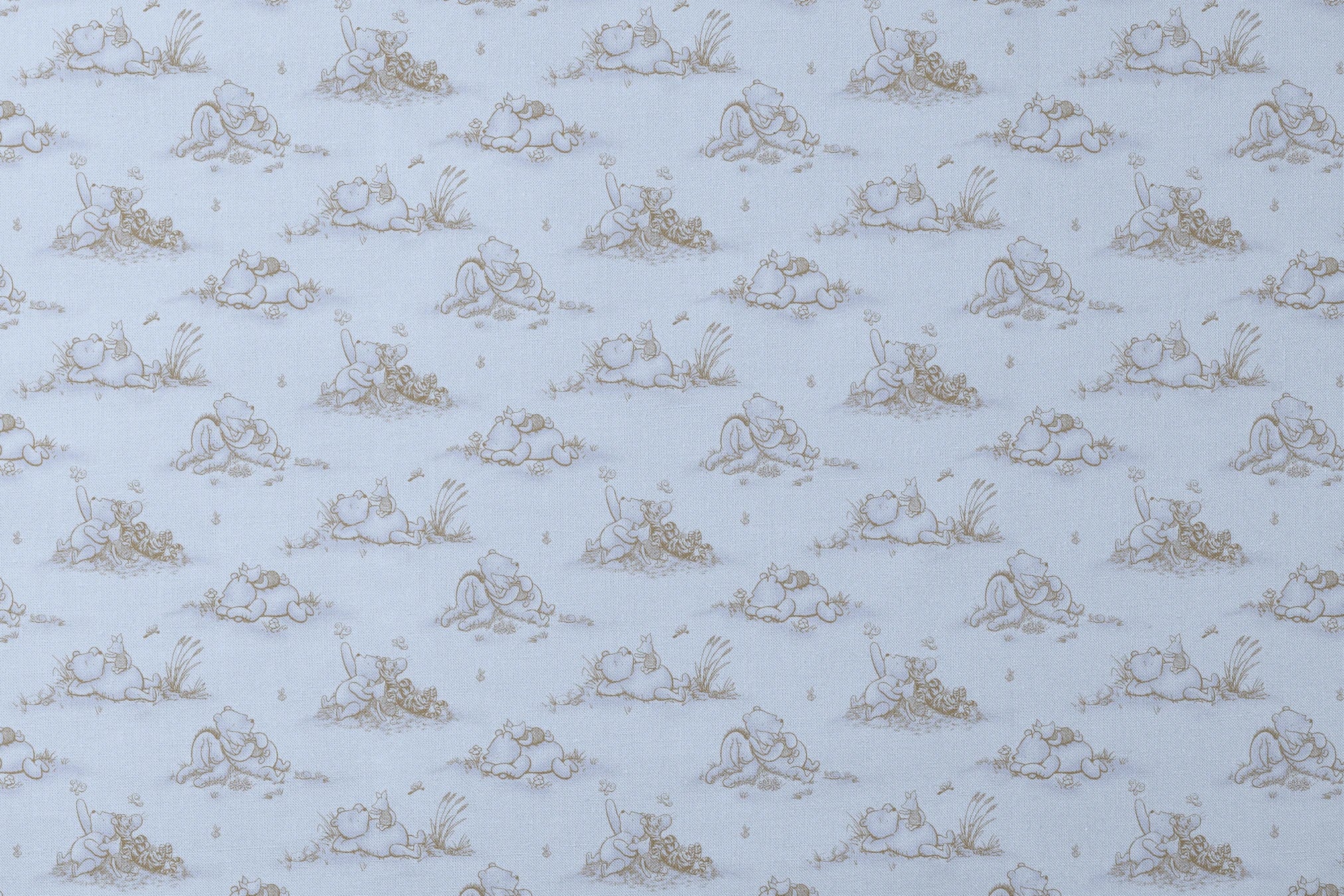 designs flat mockup
