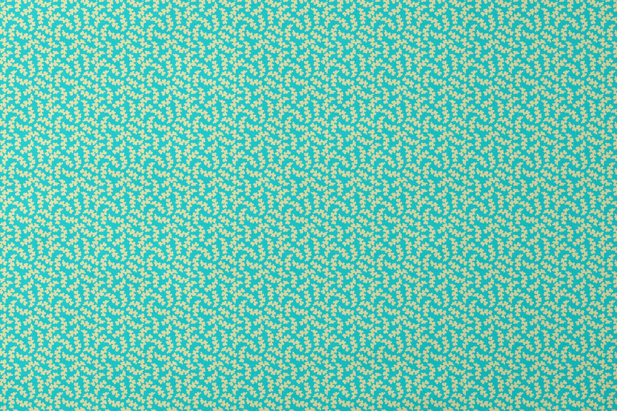 designs flat mockup