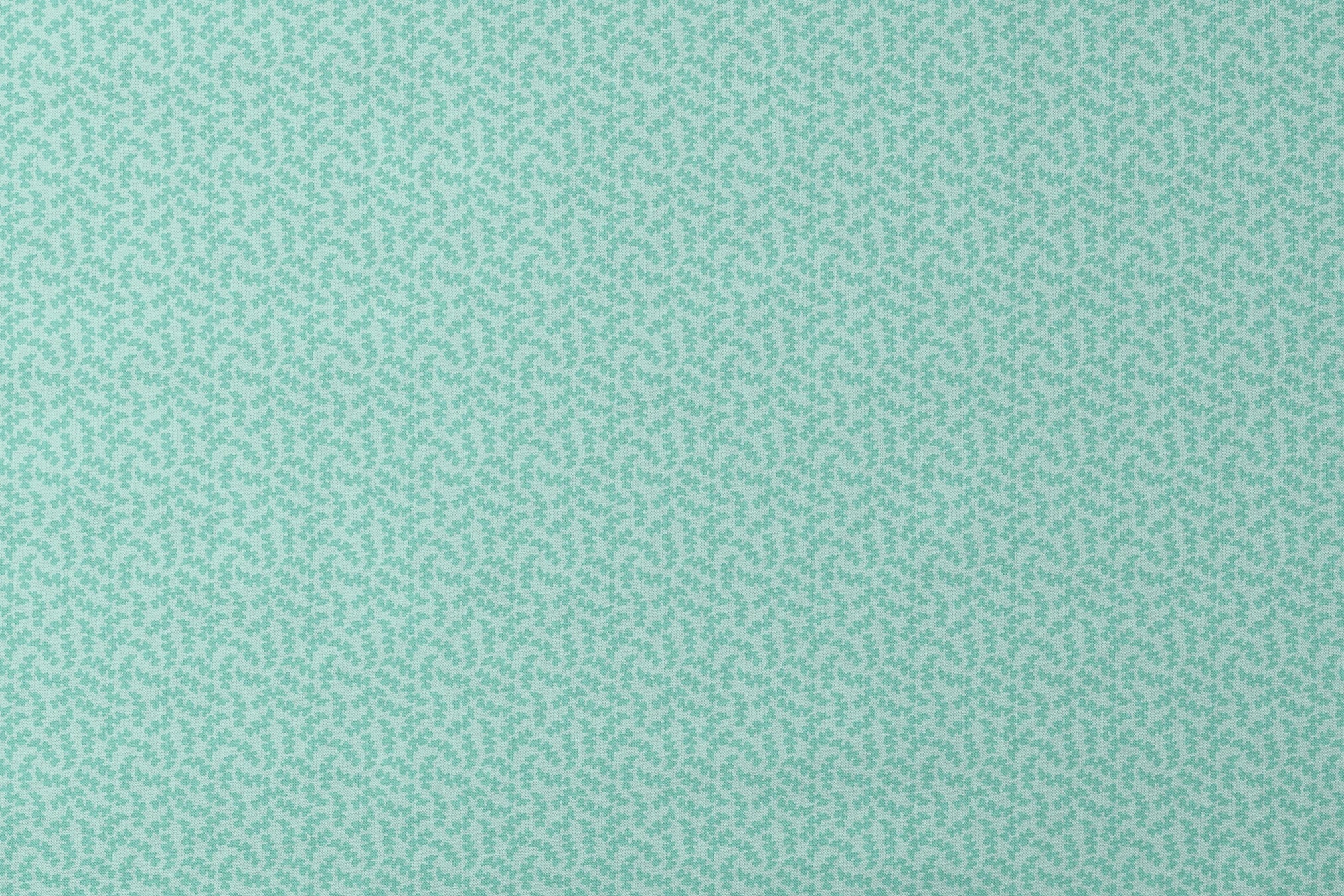 designs flat mockup