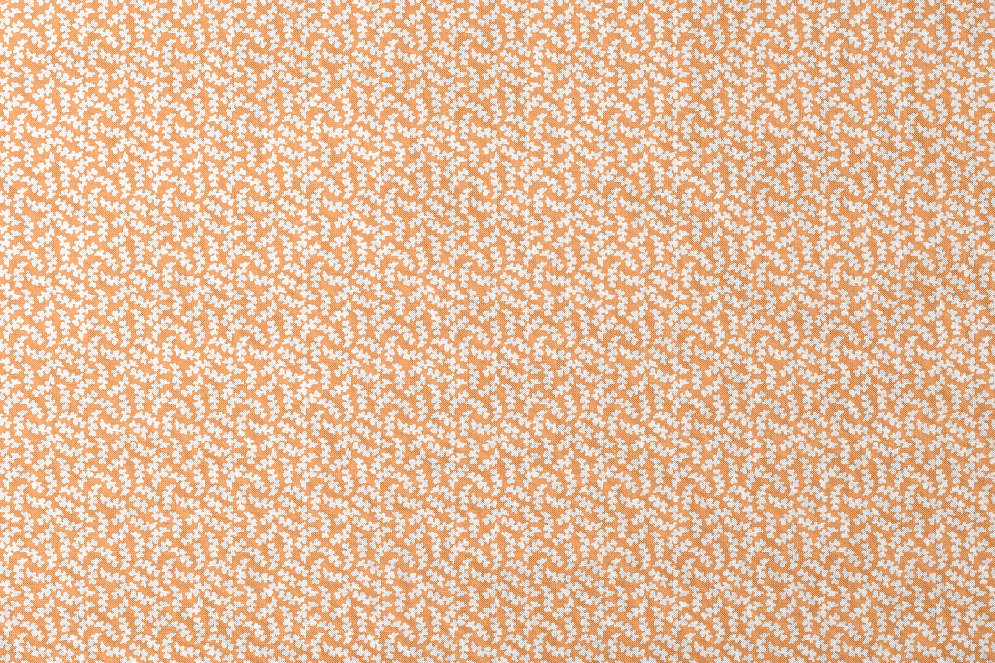 designs flat mockup