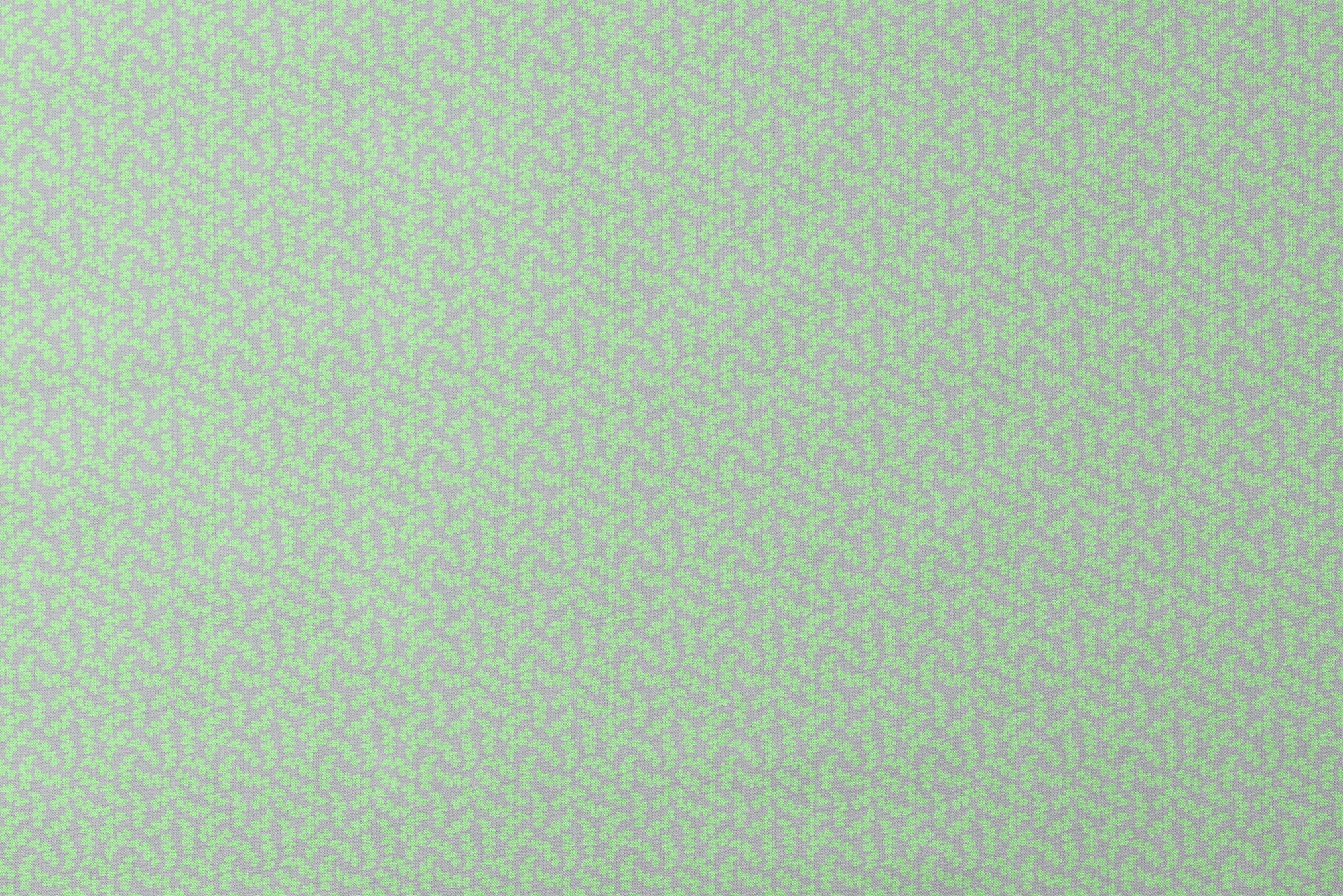 designs flat mockup