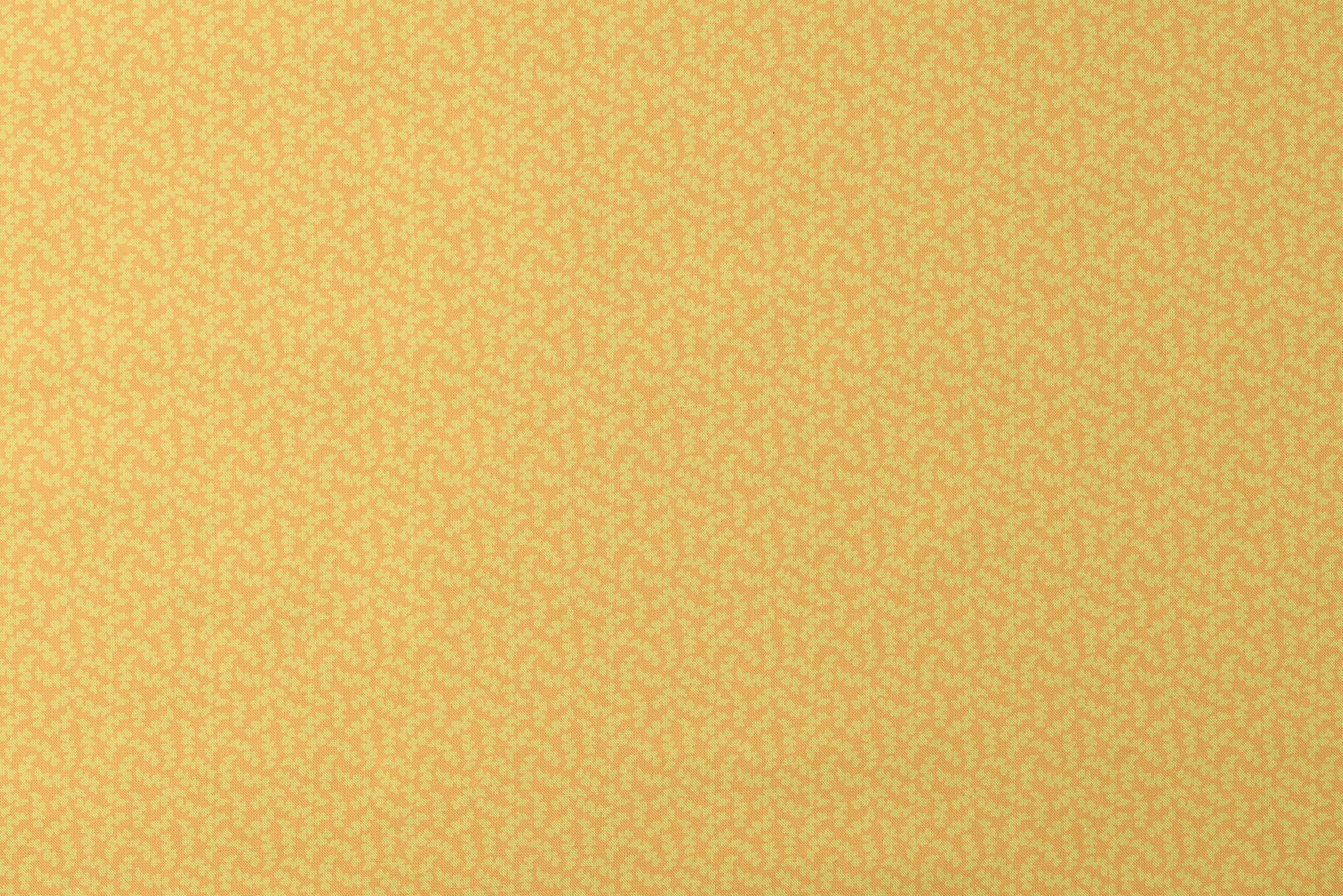 designs flat mockup
