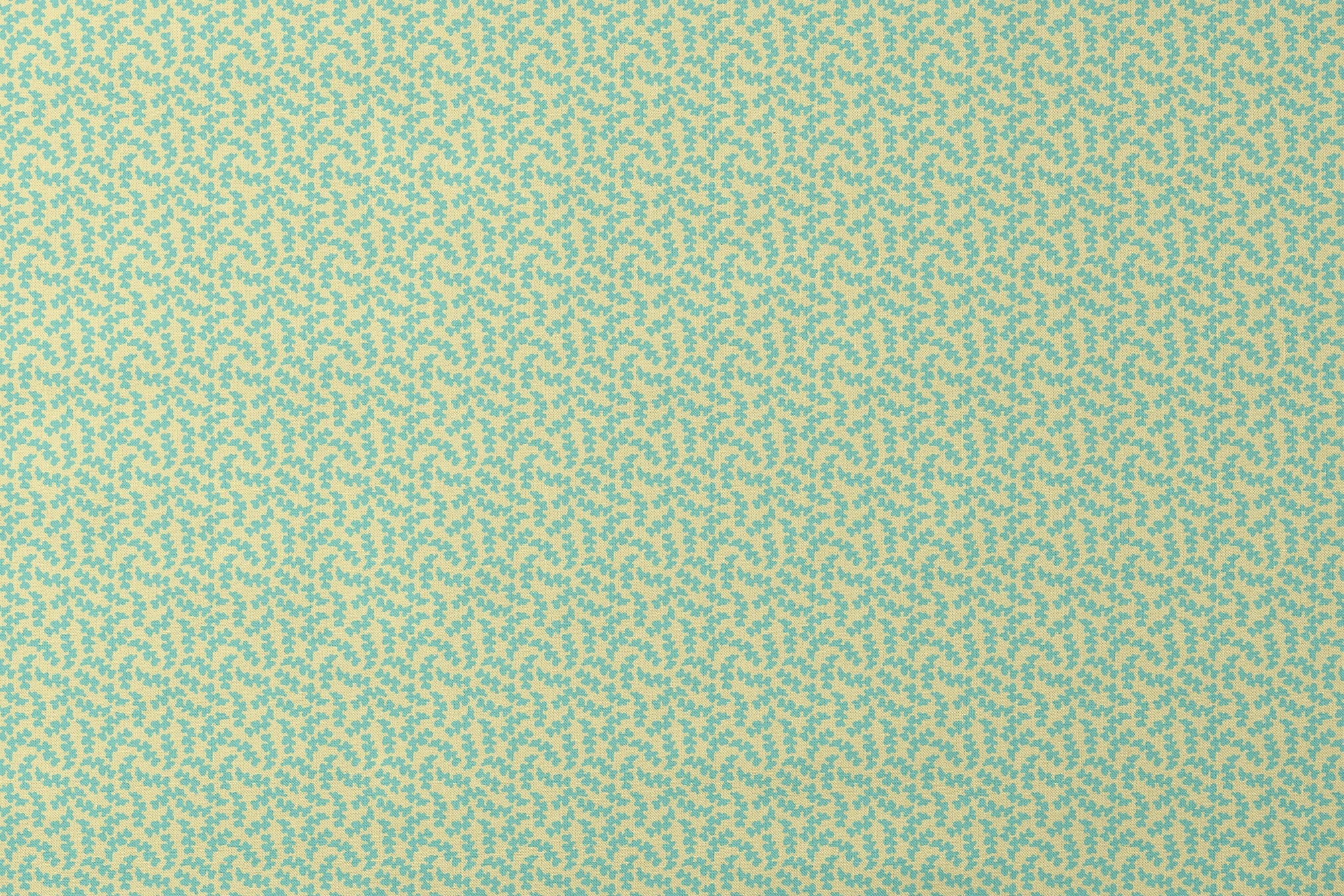 designs flat mockup