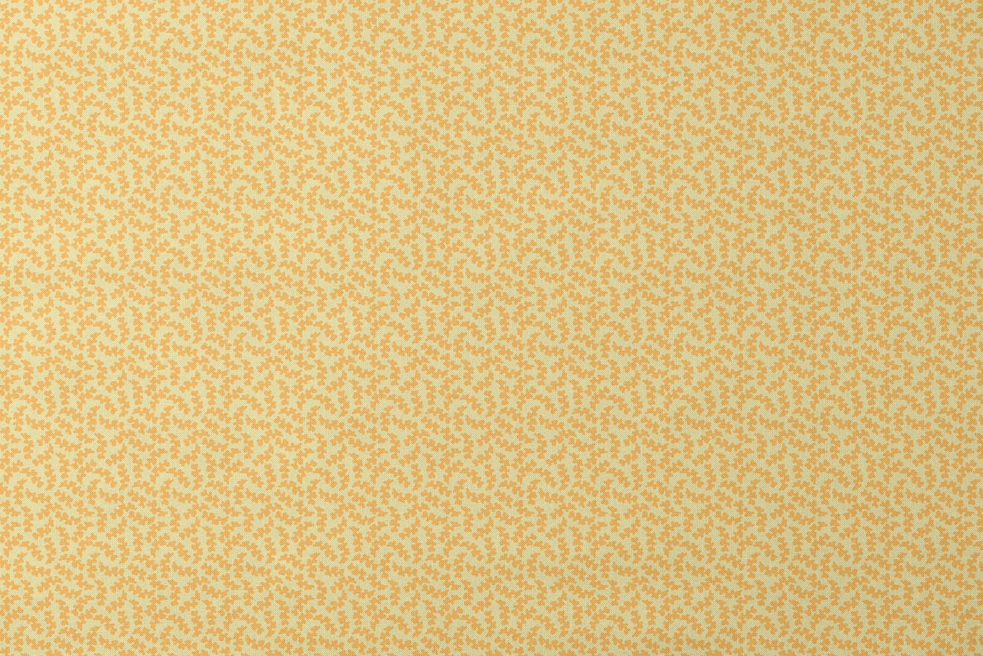 designs flat mockup