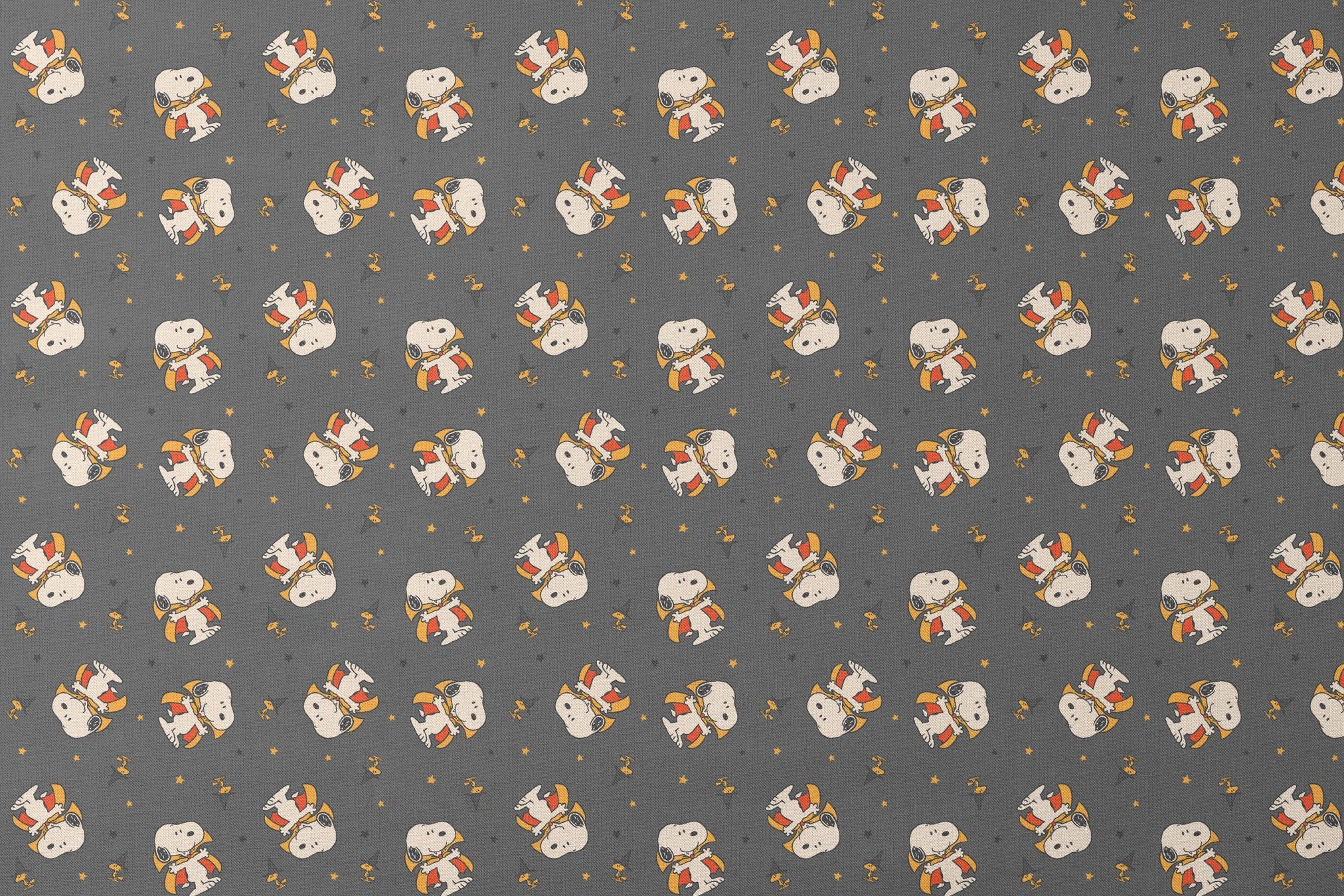 designs flat mockup