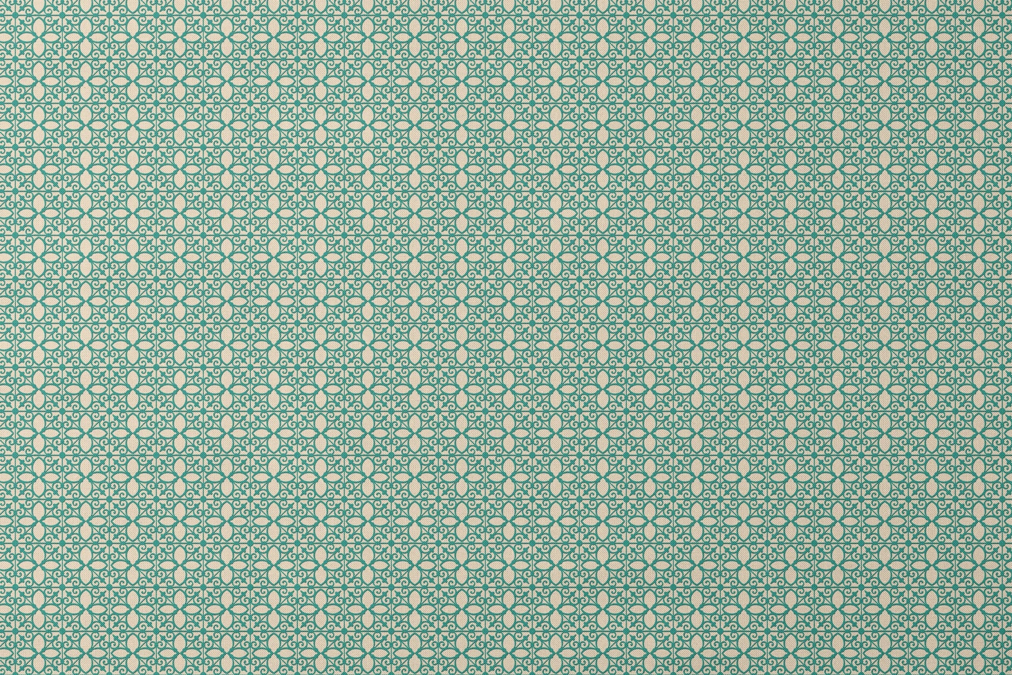 designs flat mockup