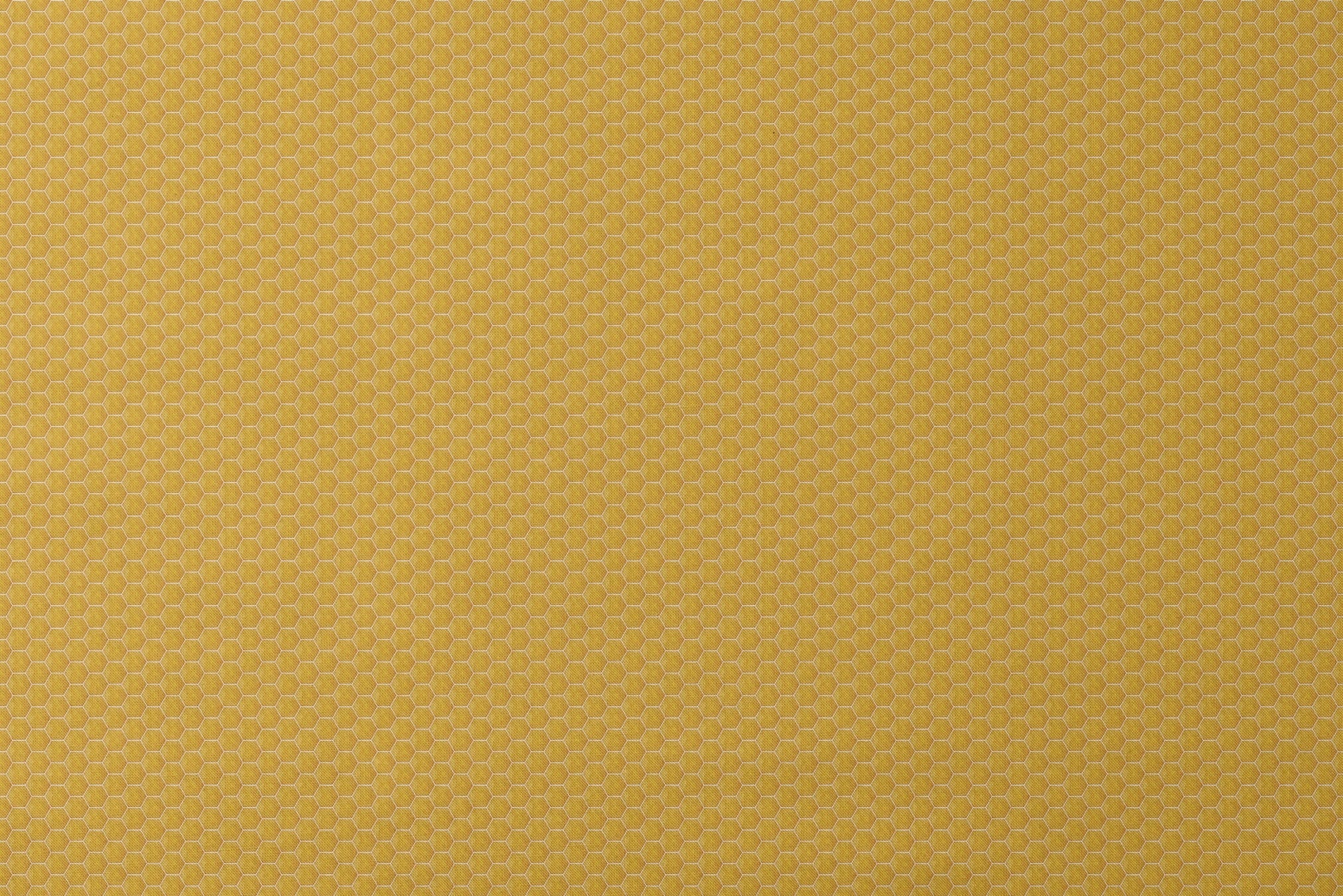designs flat mockup