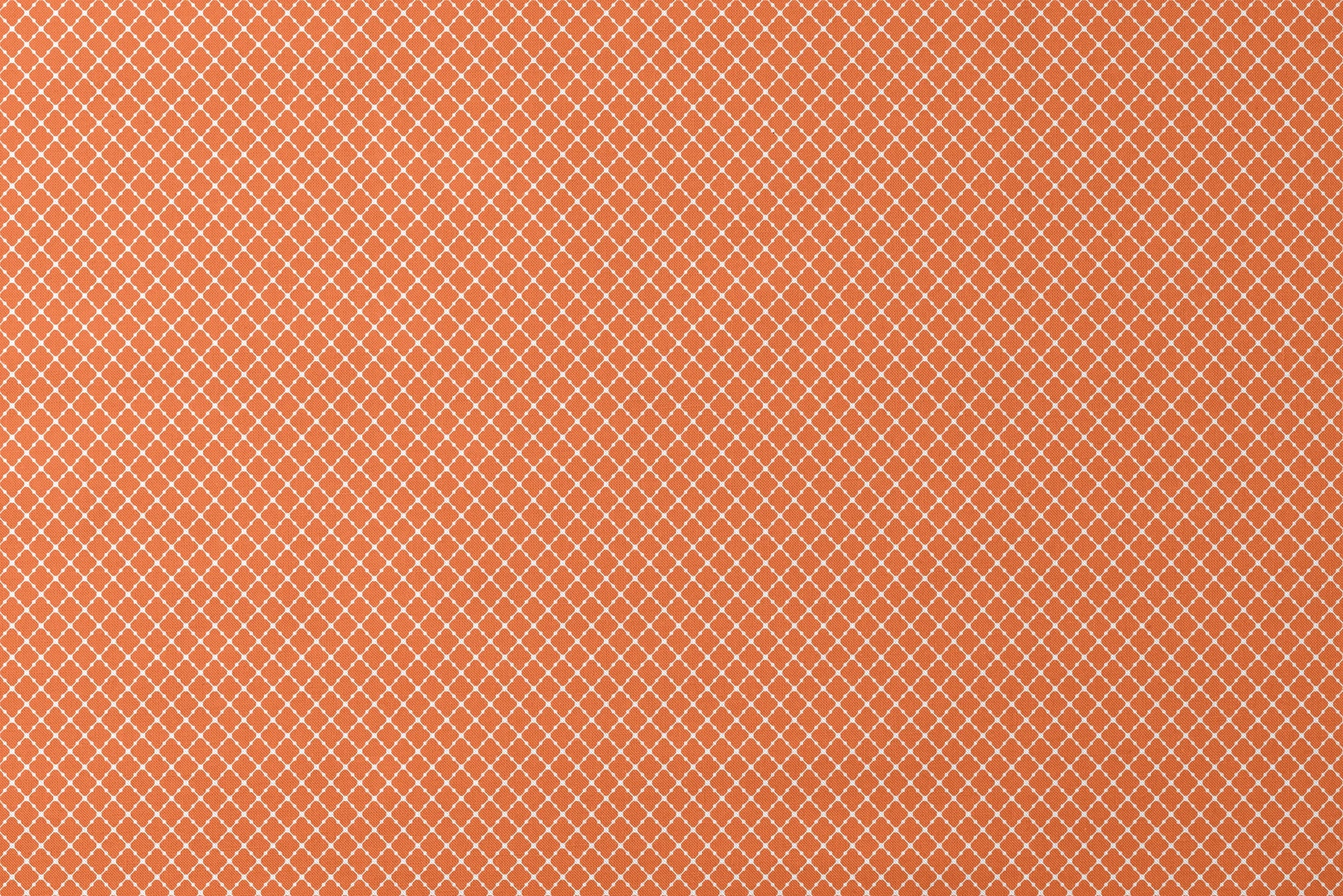 Burnt Orange and white quatrefoil pattern with smooth lattice design on orange background designs flat mockup
