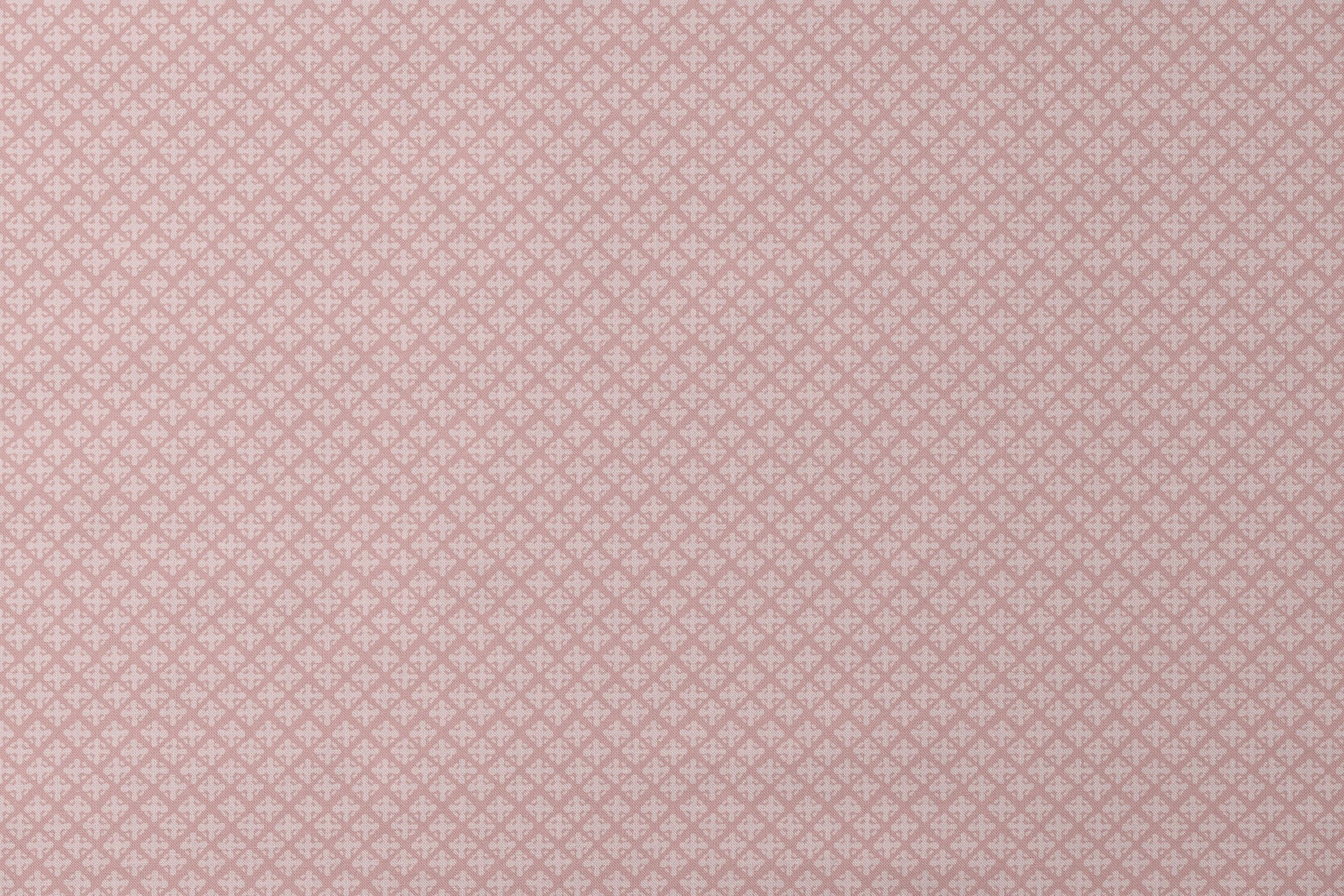 designs flat mockup