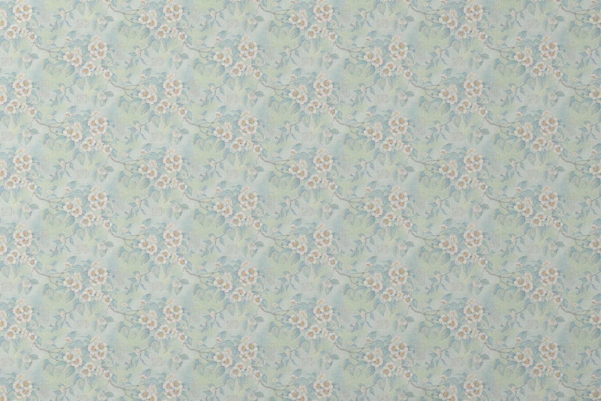 designs flat mockup