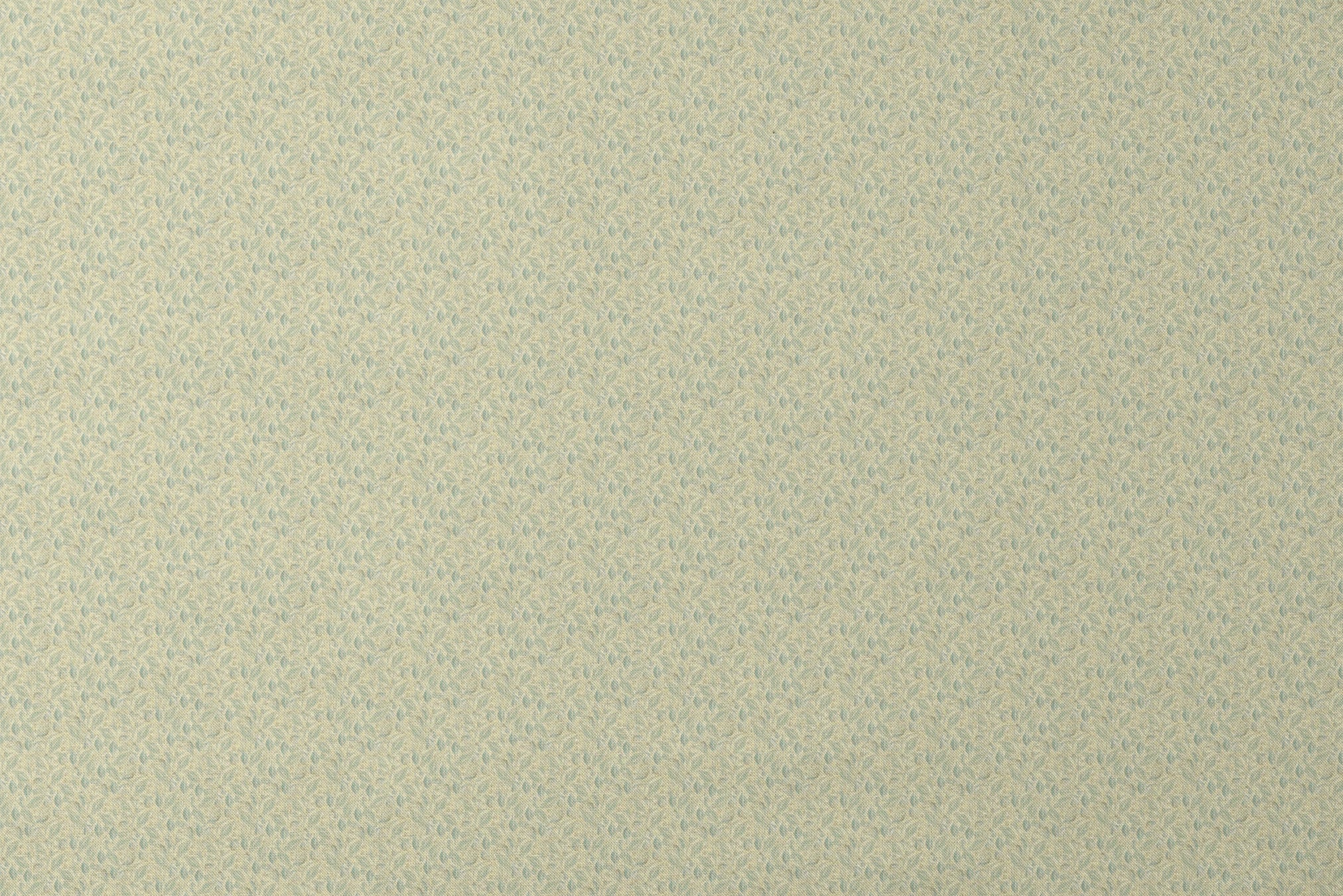 designs flat mockup