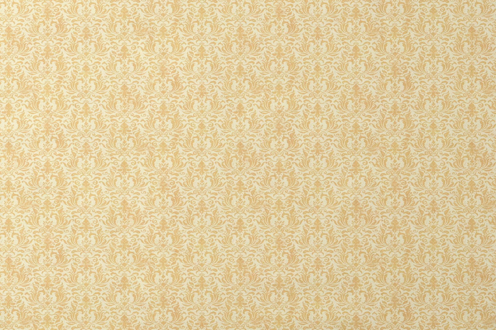 designs flat mockup