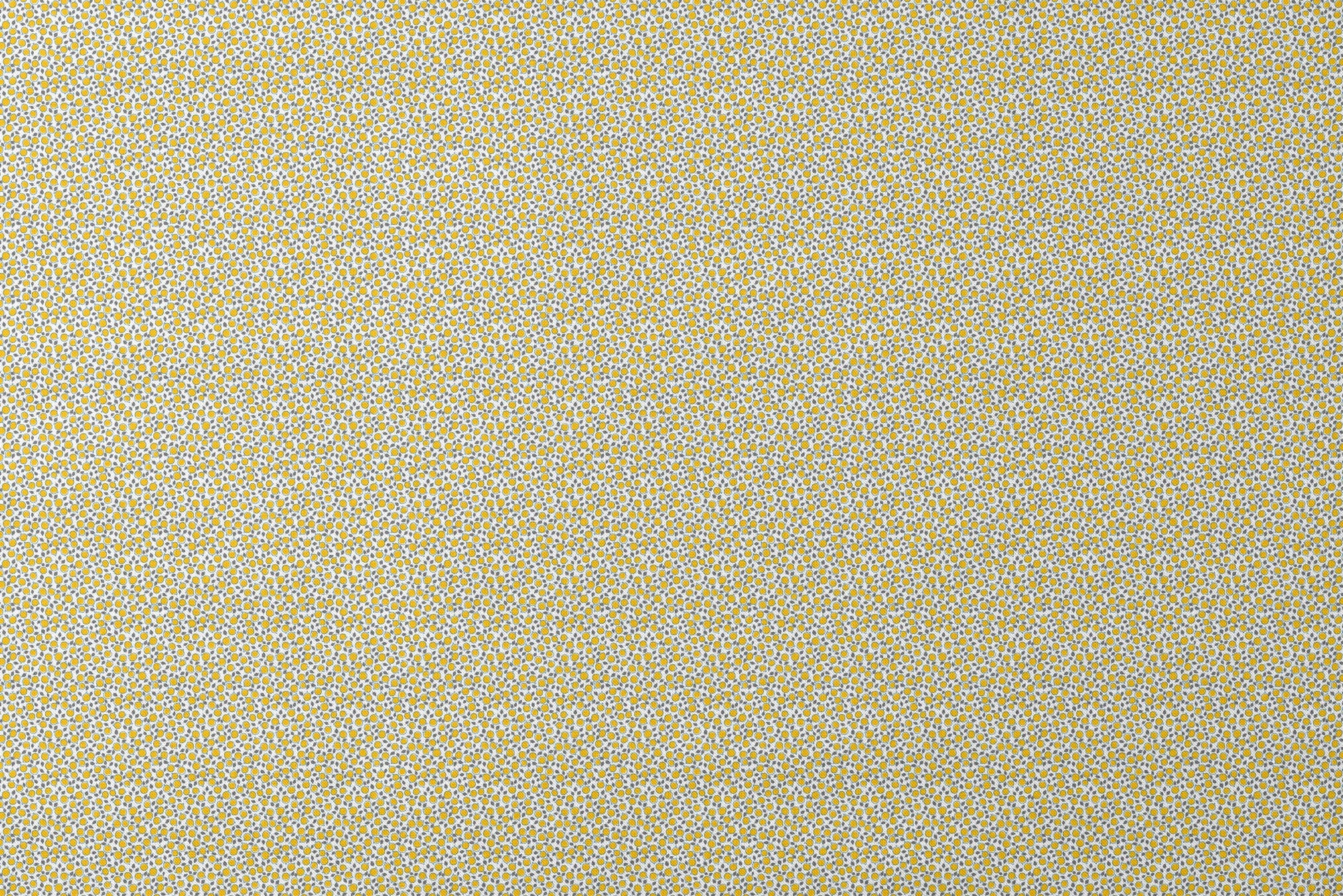 designs flat mockup