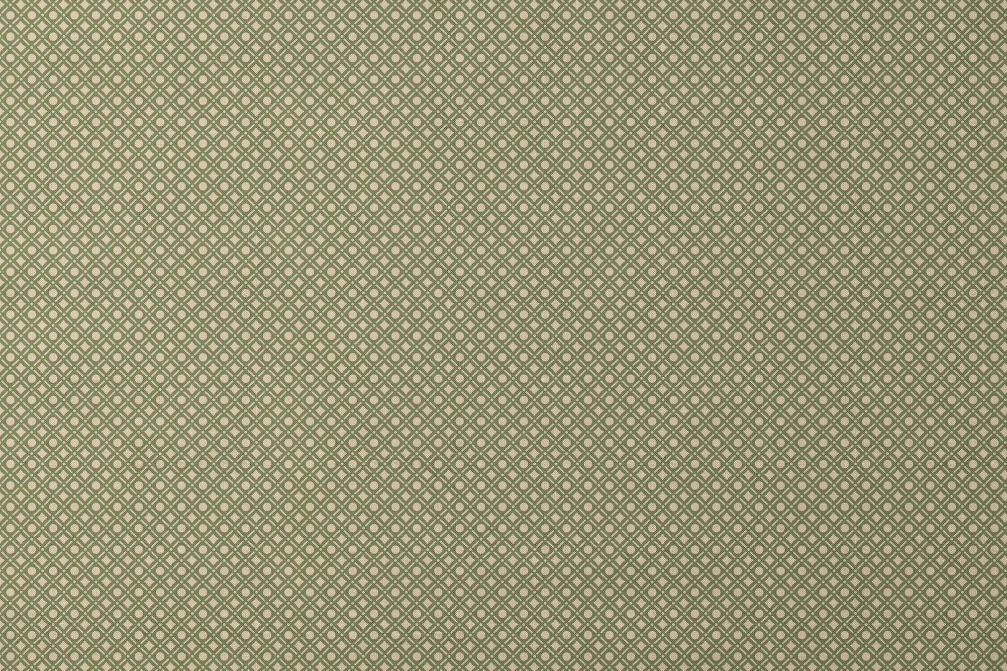 designs flat mockup