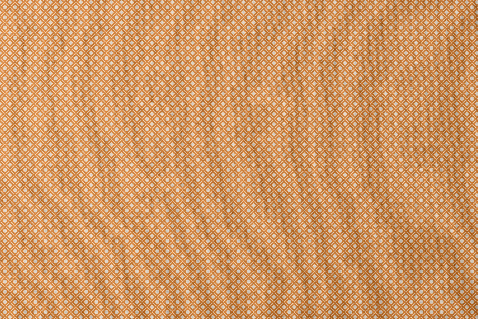 designs flat mockup