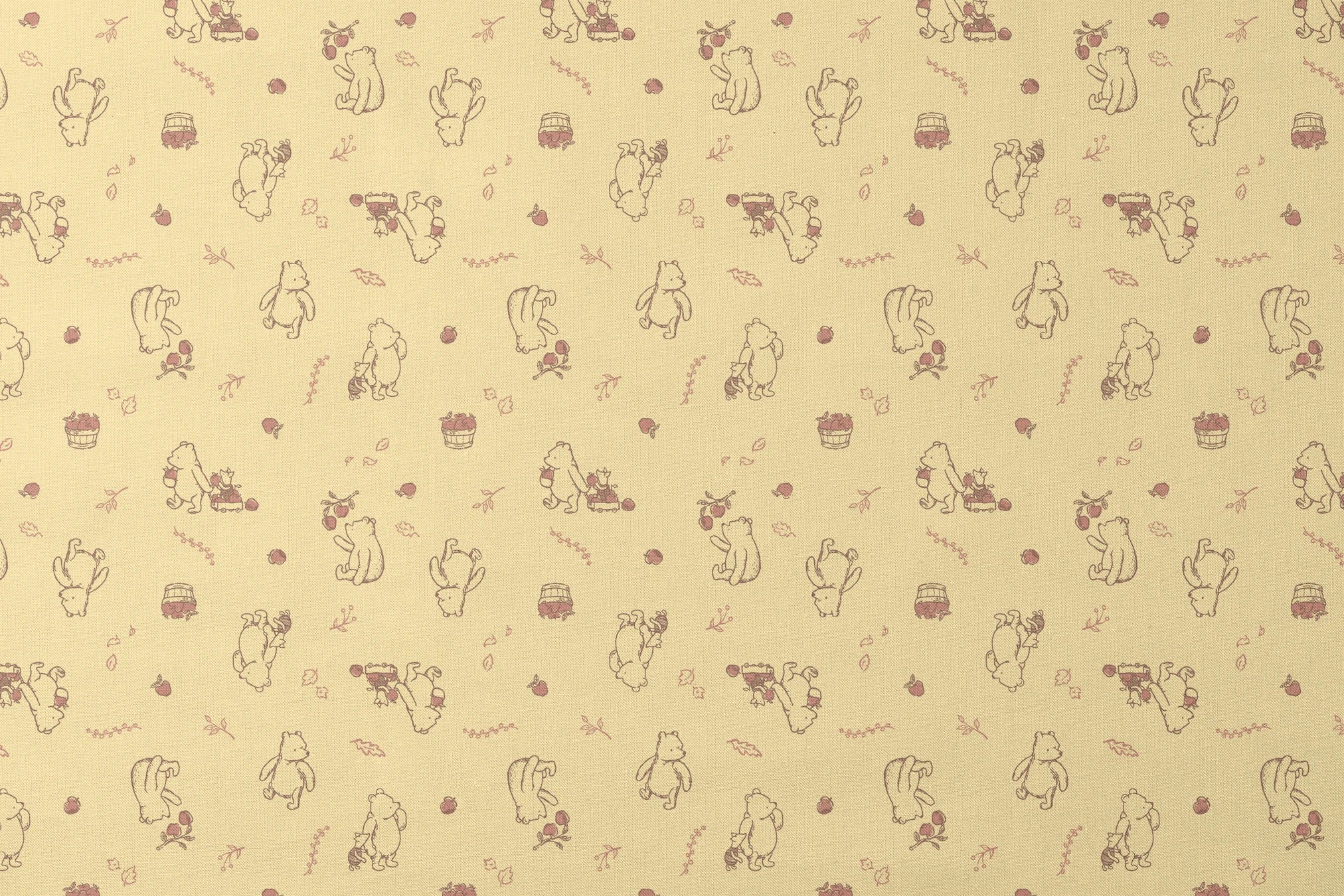 designs flat mockup