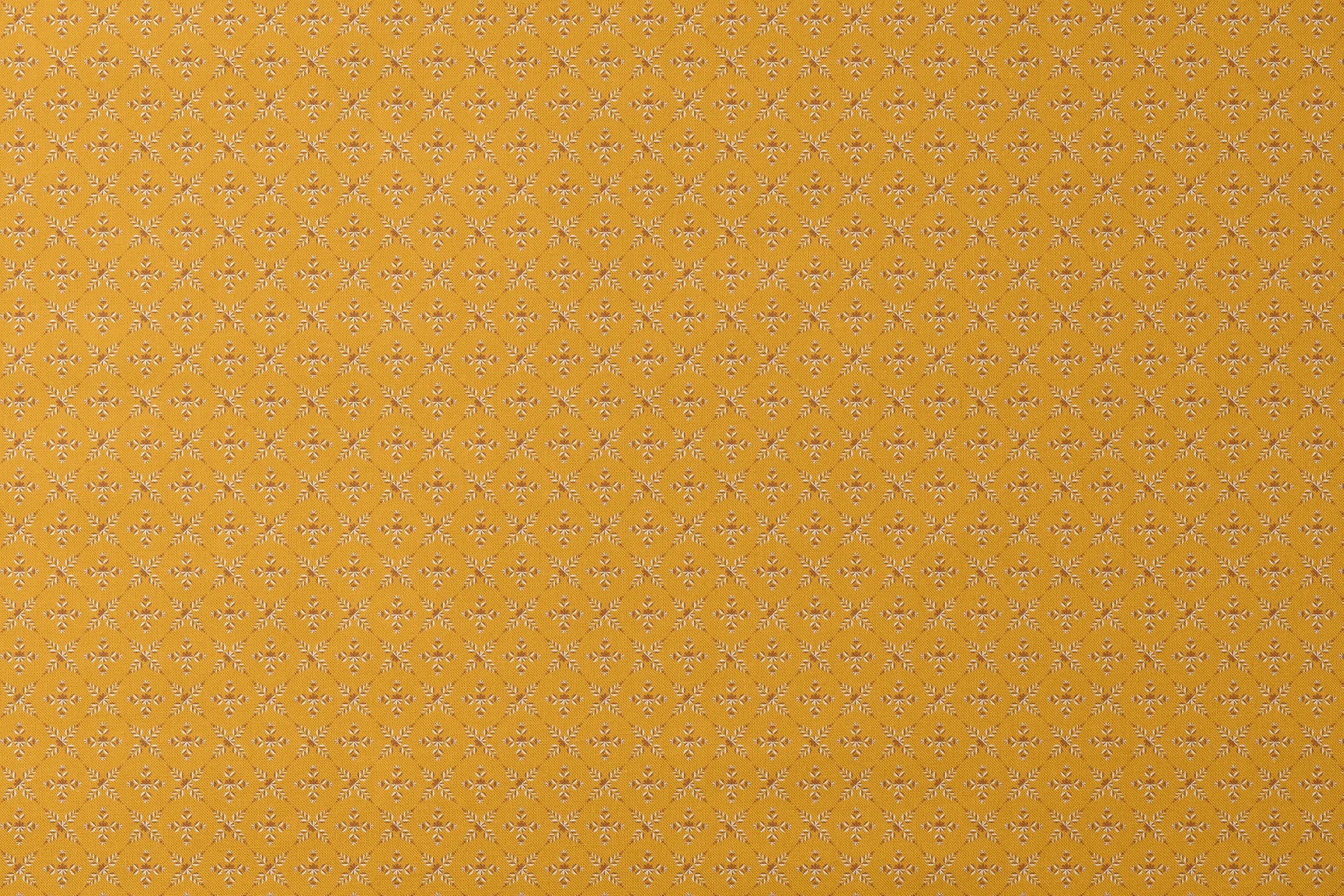 designs flat mockup