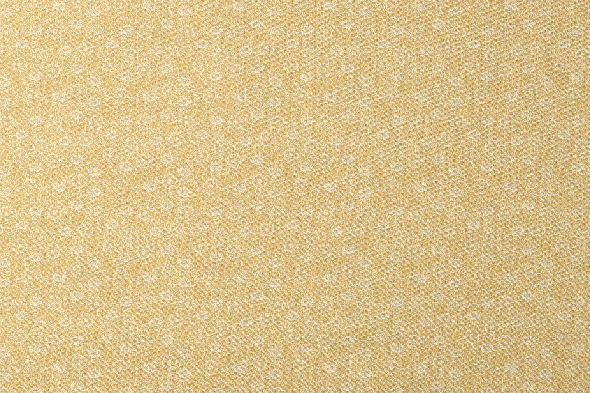 designs flat mockup