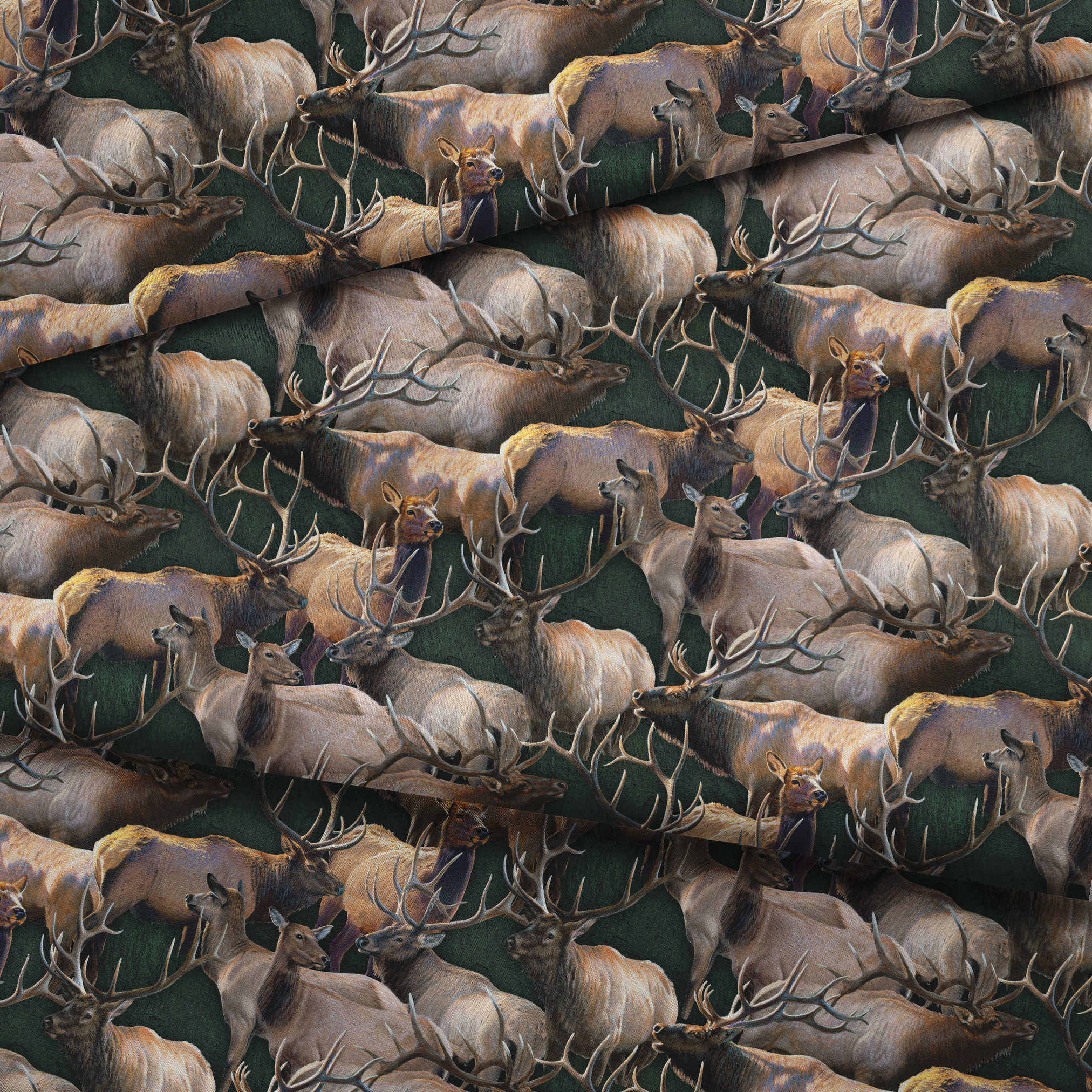 fabric fold mockup