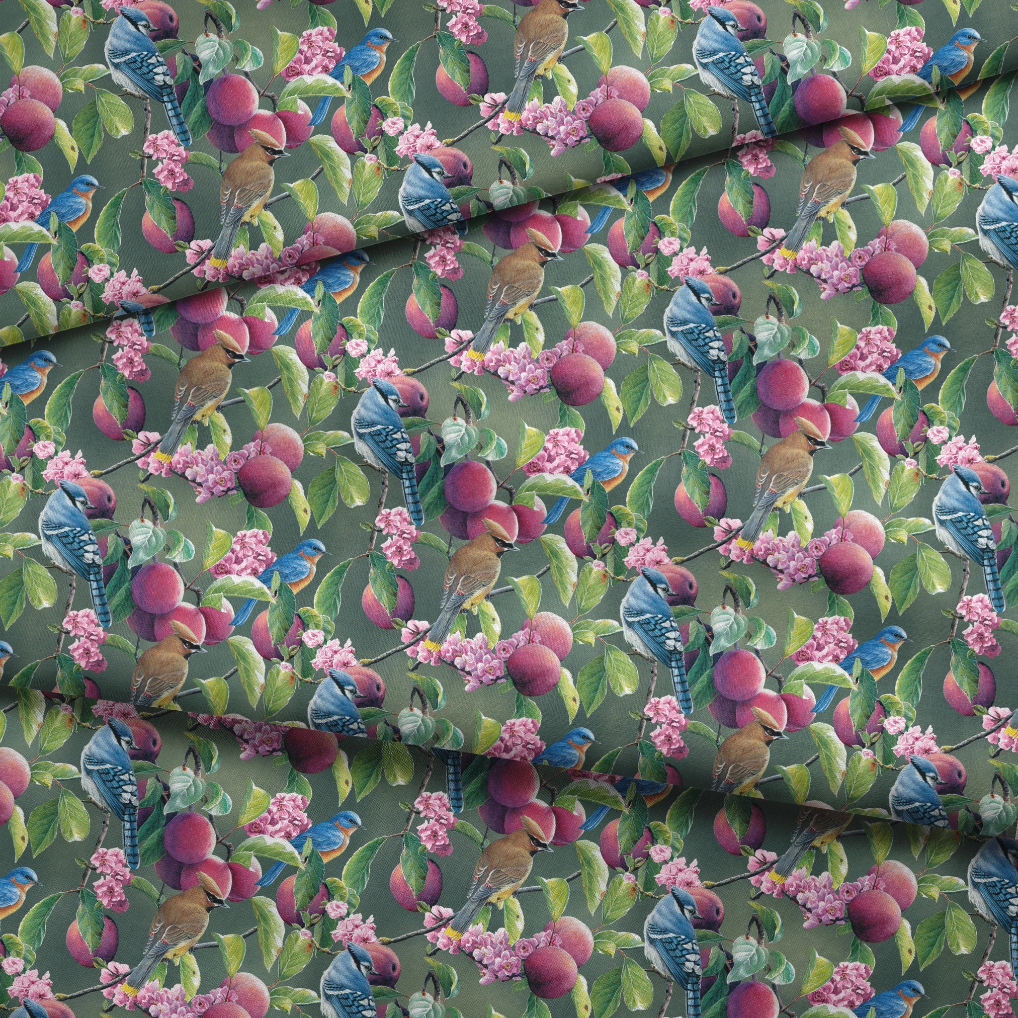 fabric fold mockup