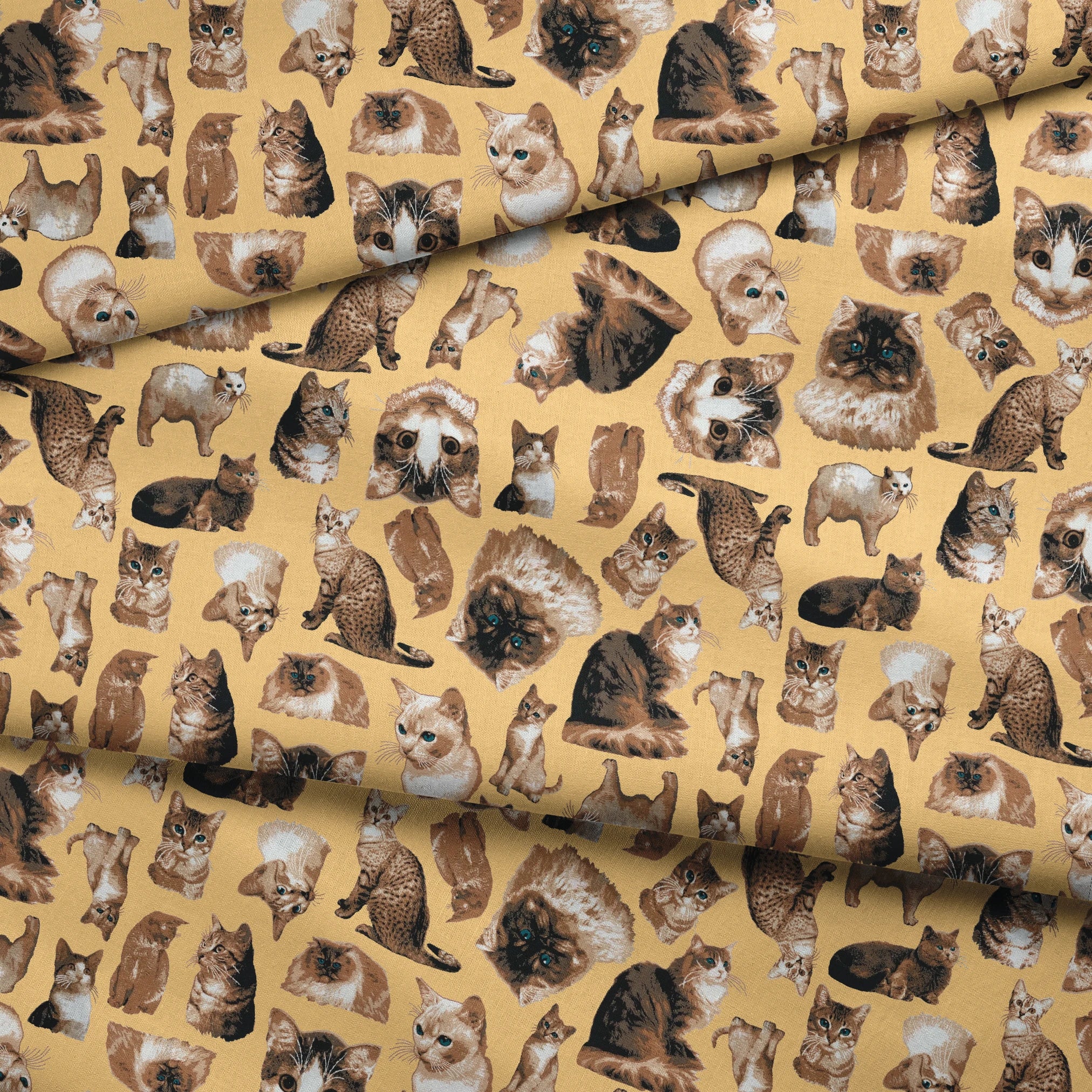 fabric fold mockup
