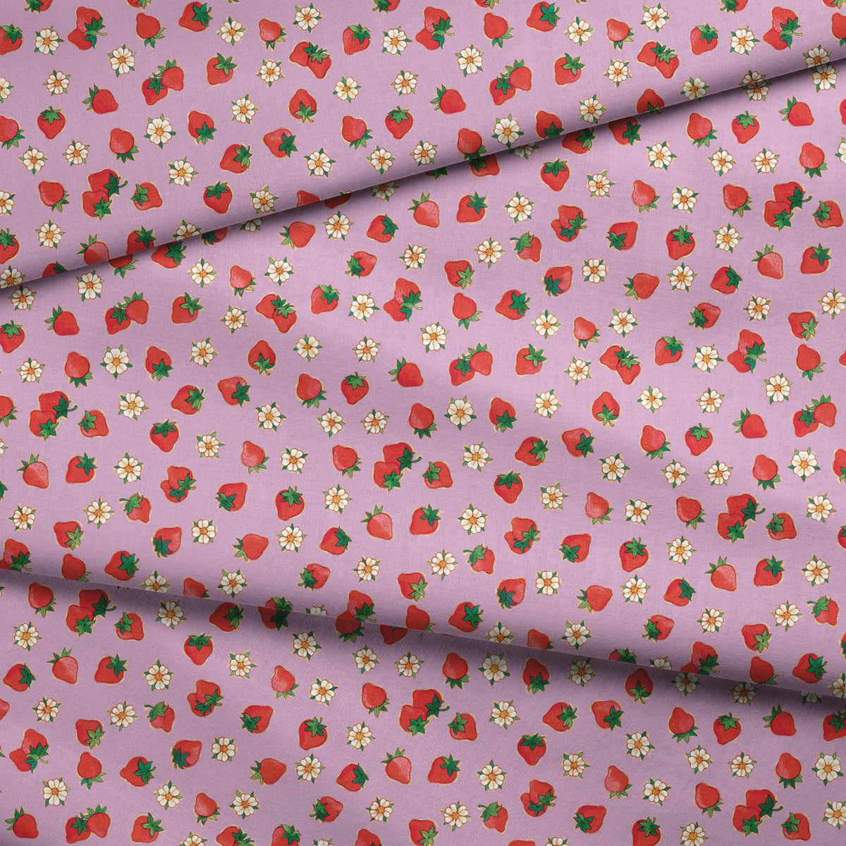 fabric fold mockup