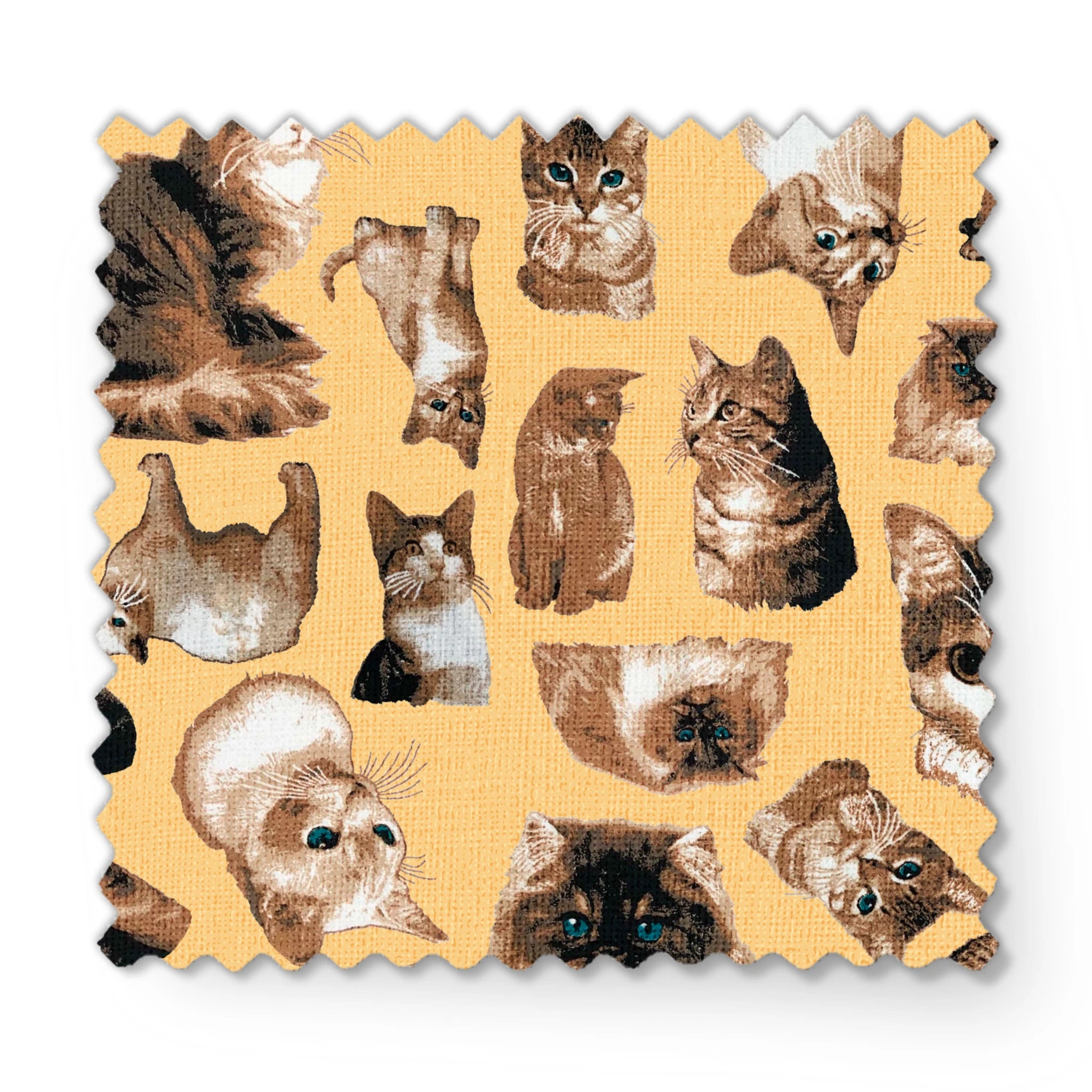 fabric swatch mockup