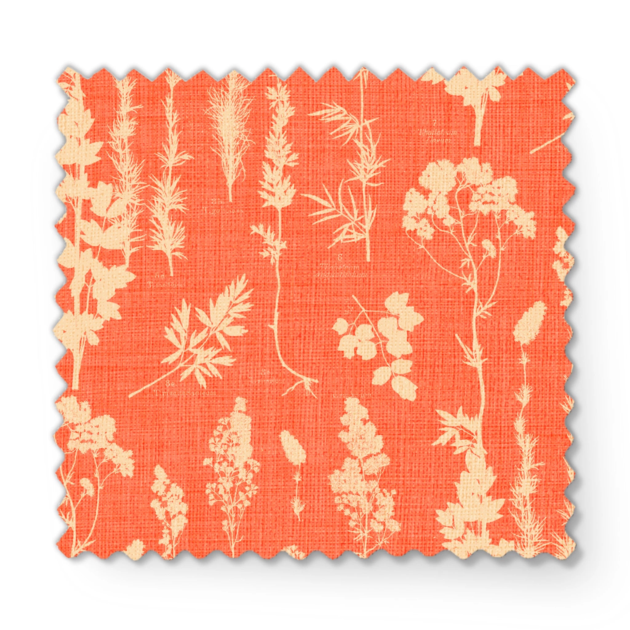 fabric swatch mockup