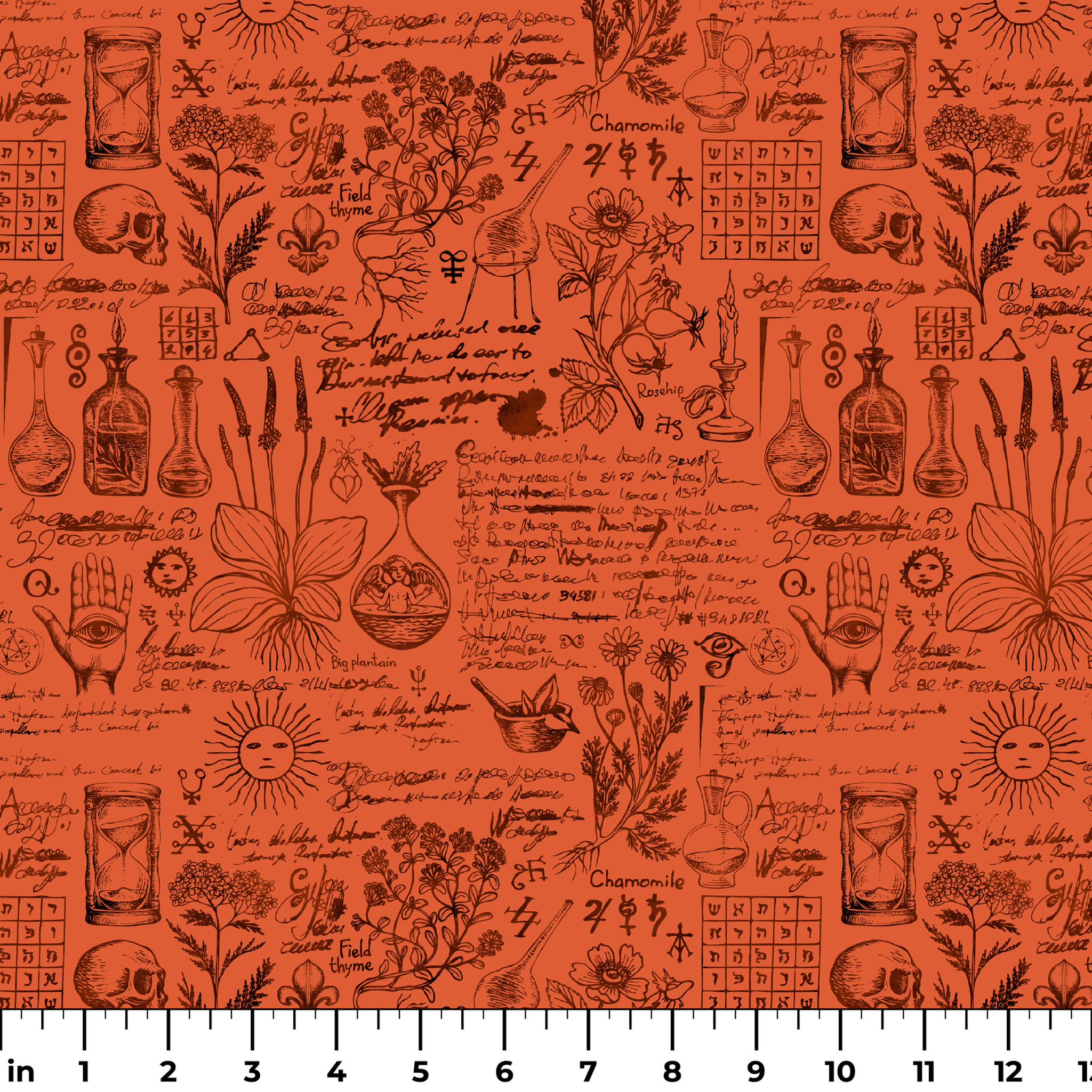 Red-orange Halloween background with vintage alchemical drawings, botanical sketches, symbols, handwritten notes, and mystical elements arranged like an ancient manuscript page. ruler