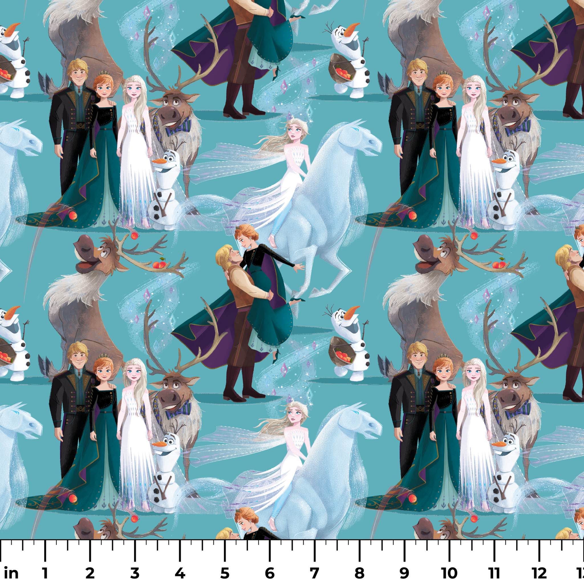 Characters from Frozen movie including Elsa, Olaf, Sven and others on turquoise background ruler