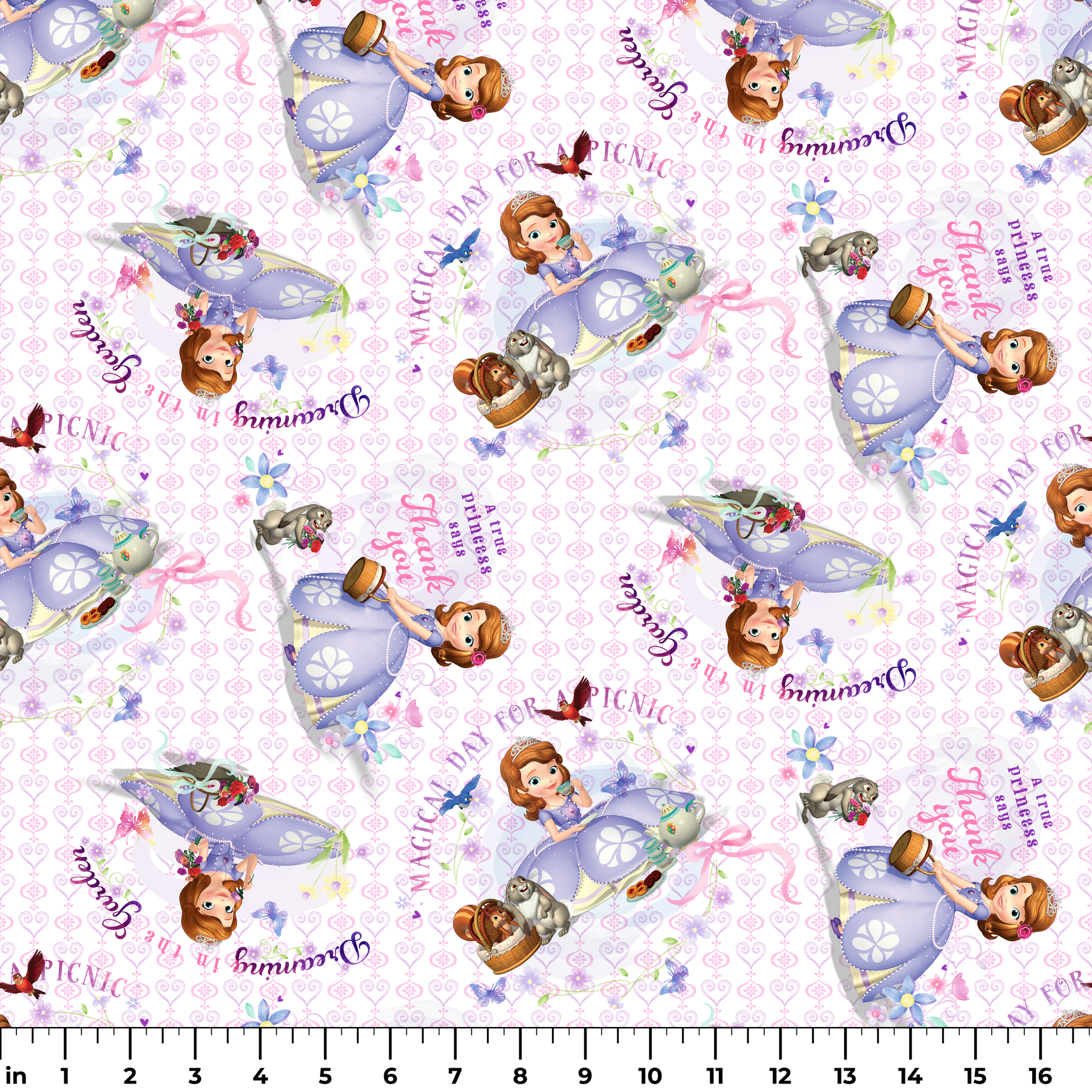 Disney Sofia the First Princess-themed pattern with characters in purple dresses, crowns, and the text "Beautiful Princess" on light purple background ruler
