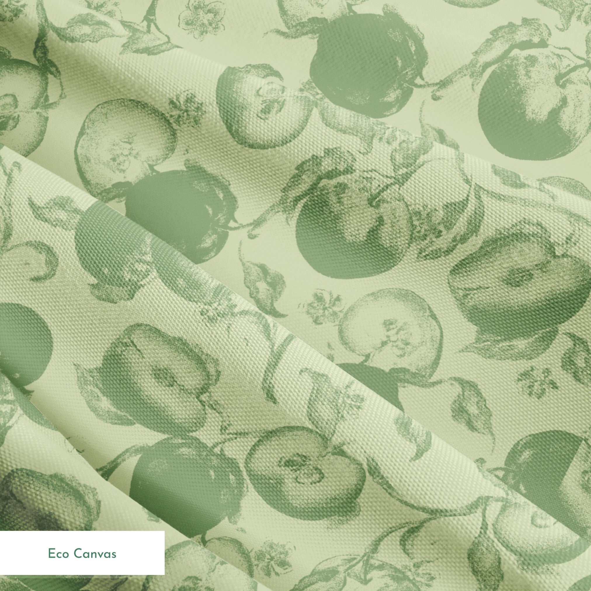 springs ecocanvas texture