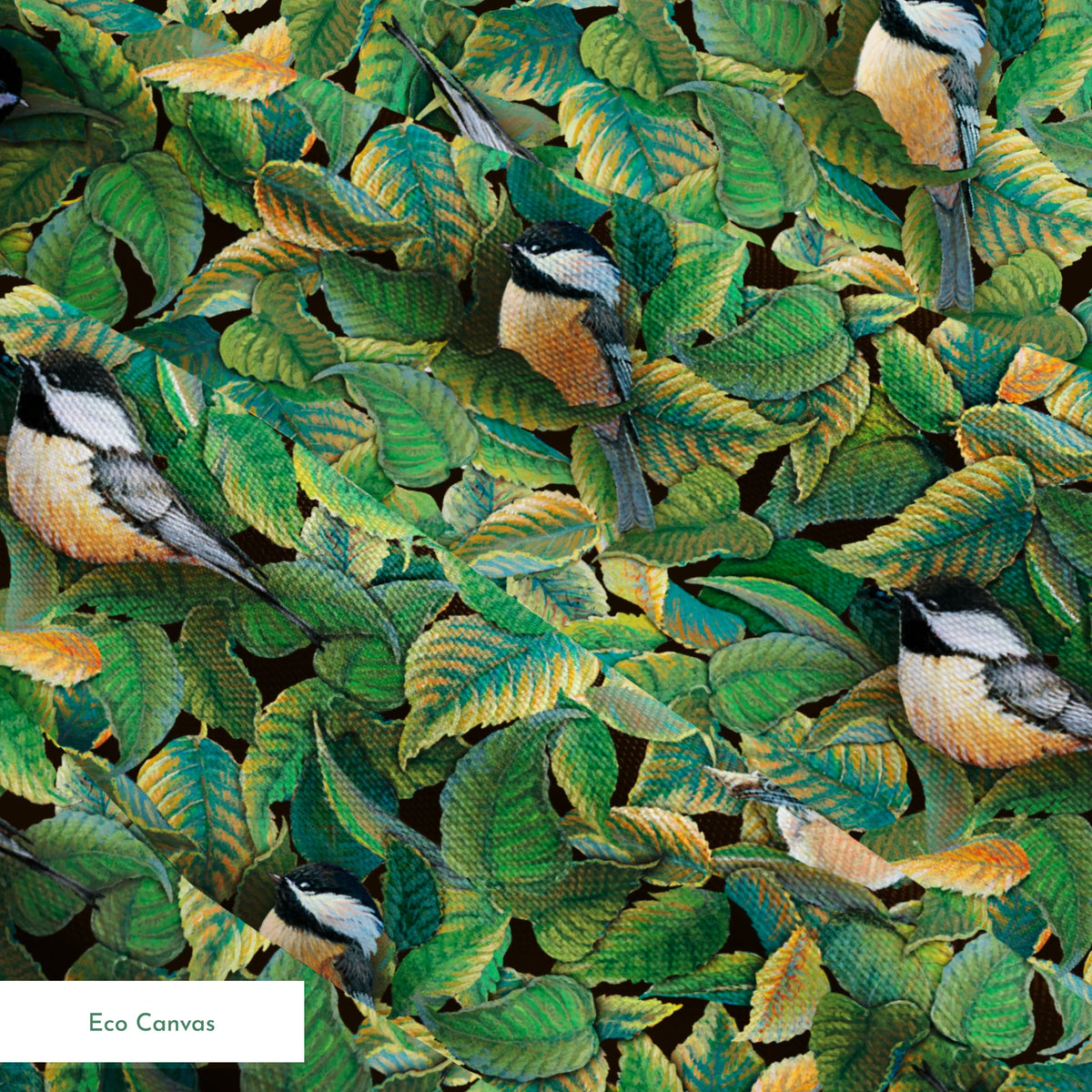 springs ecocanvas texture