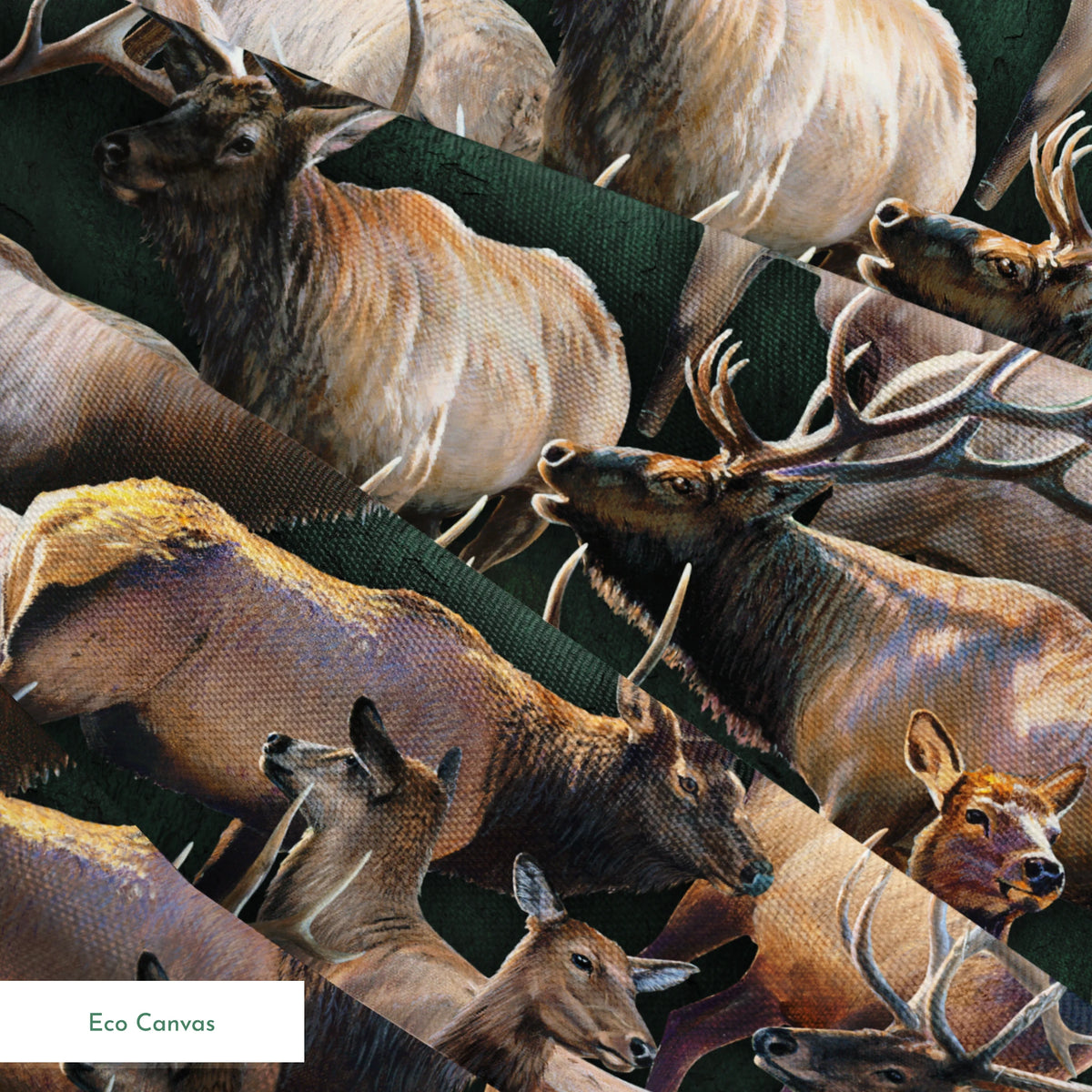 springs ecocanvas texture