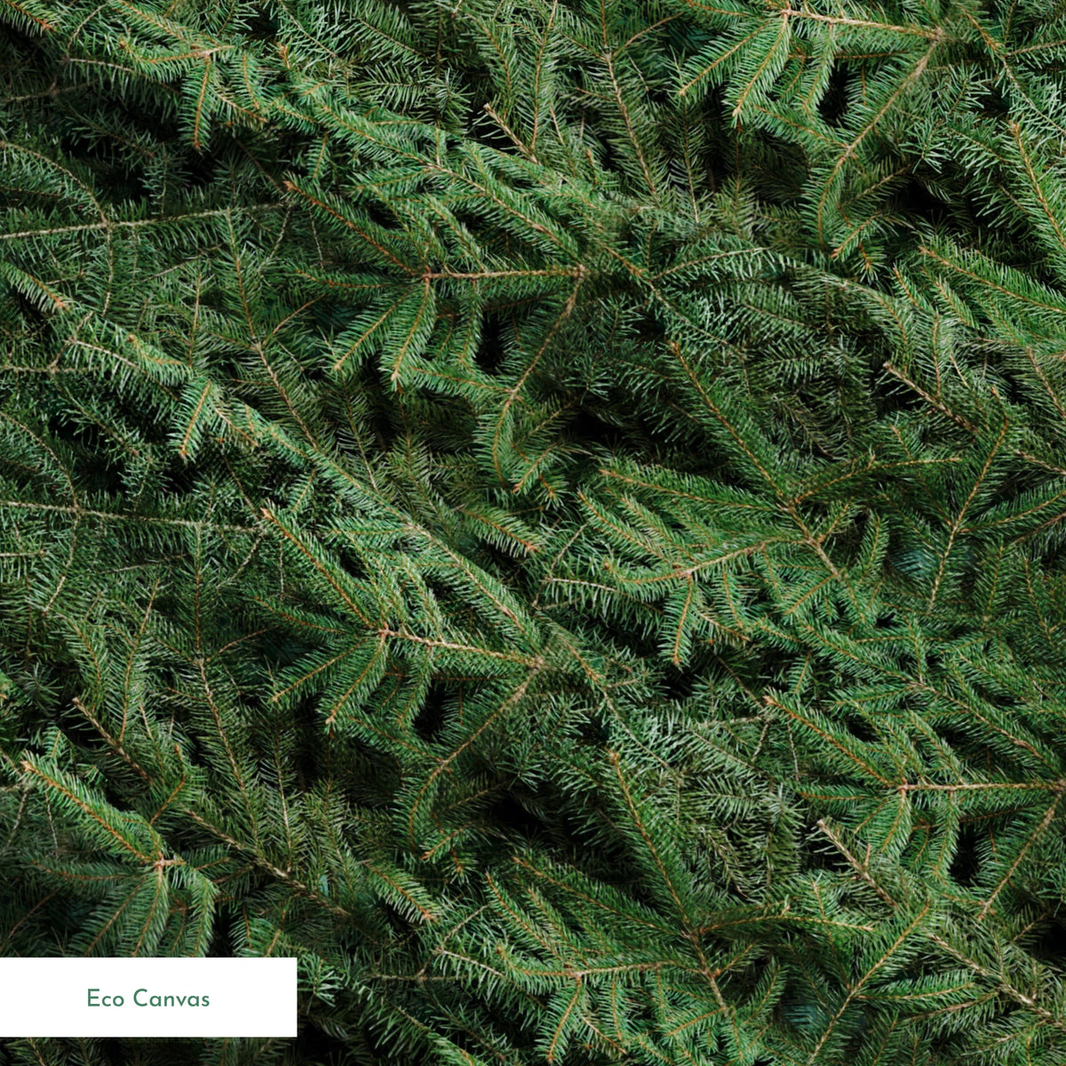 springs ecocanvas texture