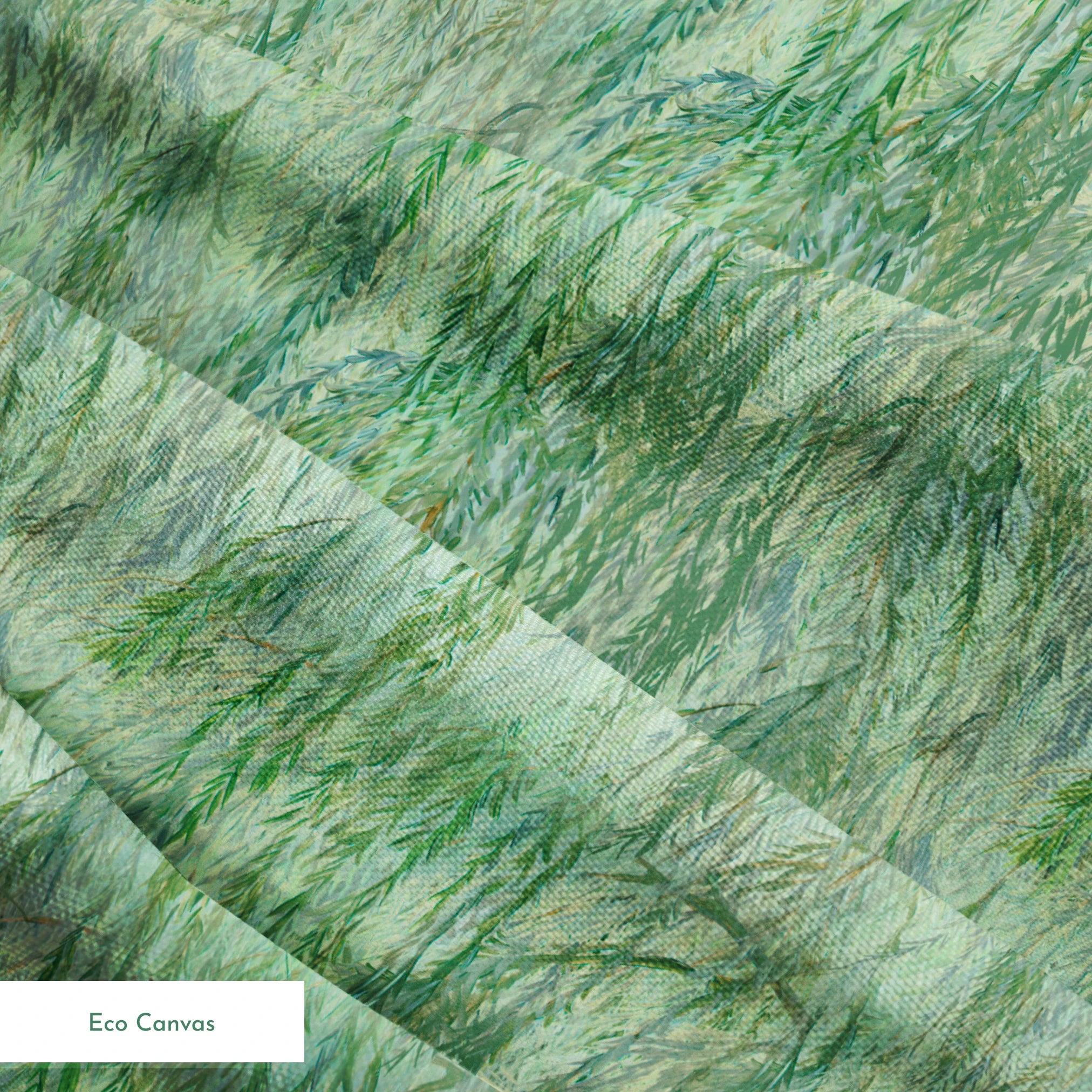 springs ecocanvas texture