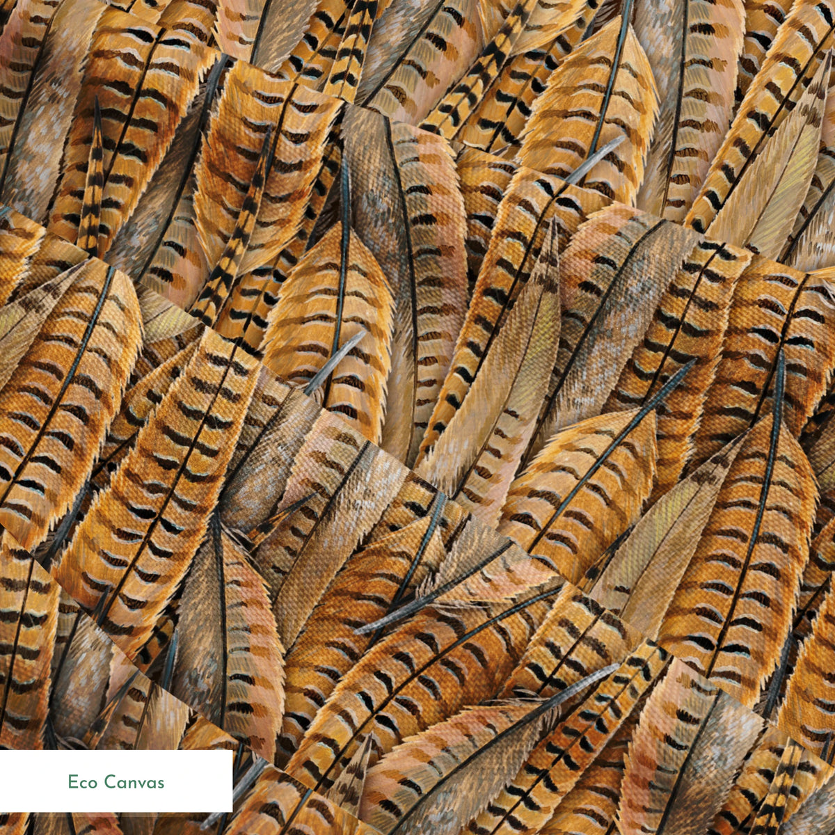 springs ecocanvas texture