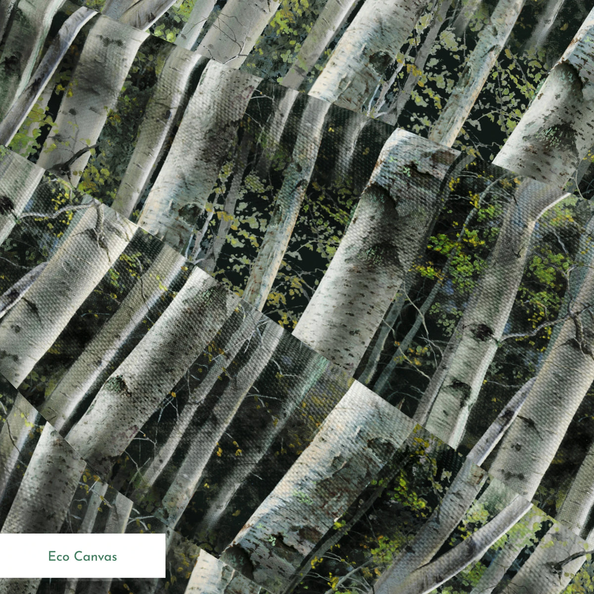 springs ecocanvas texture
