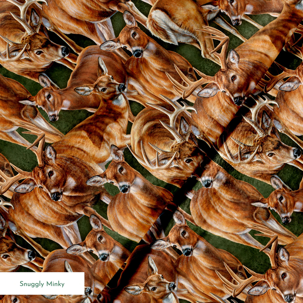 springs minky texture