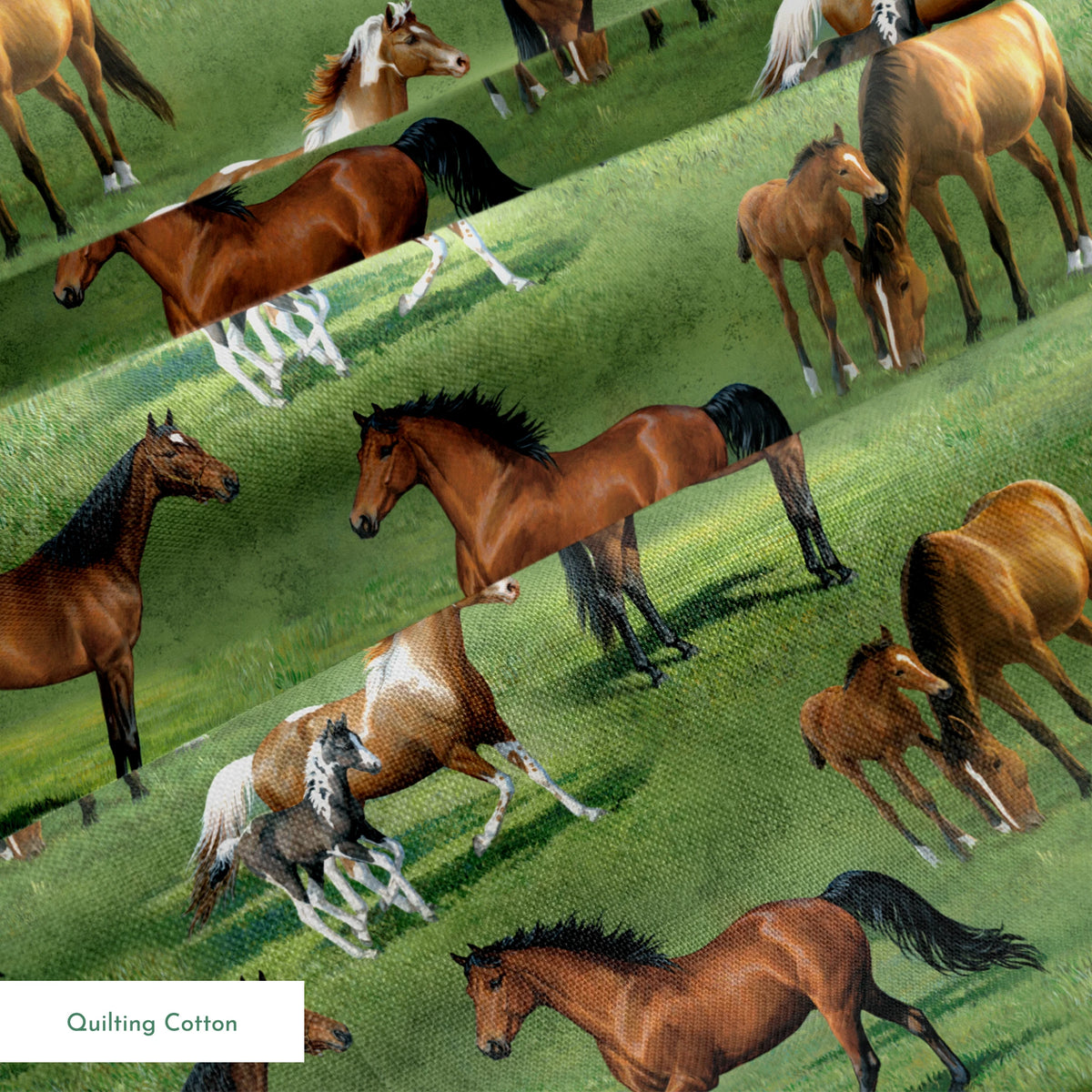 springs quiltingcotton texture