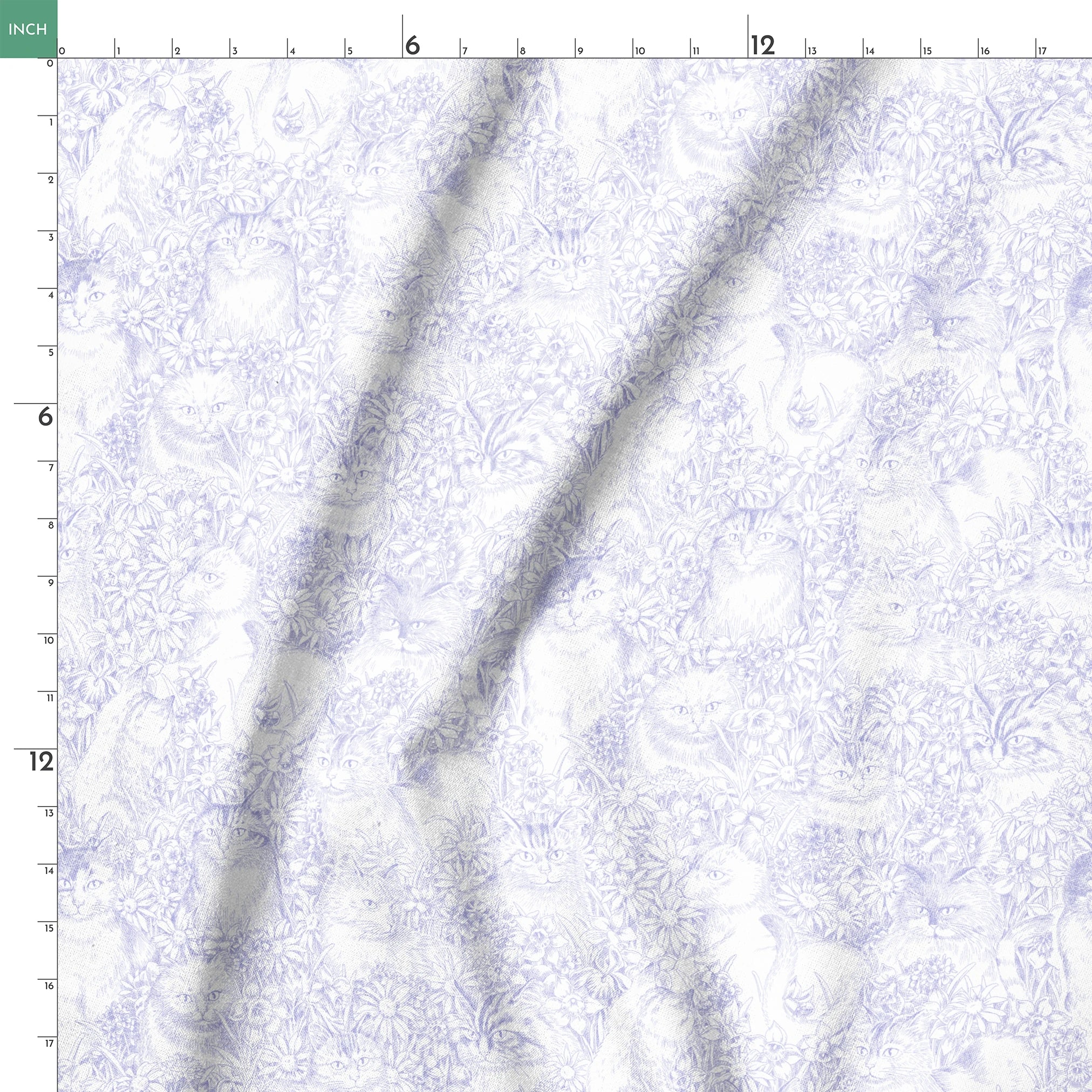 springs ruler 18x18