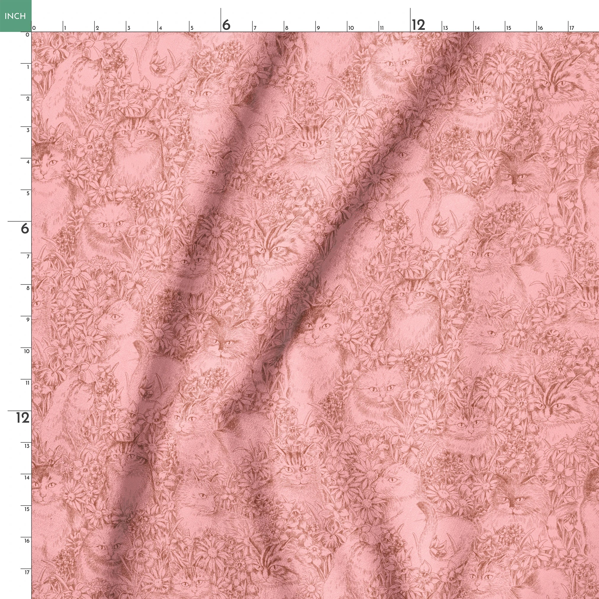 springs ruler 18x18