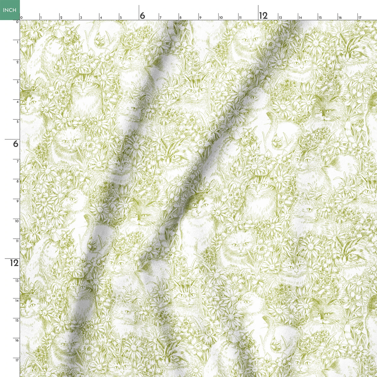 springs ruler 18x18